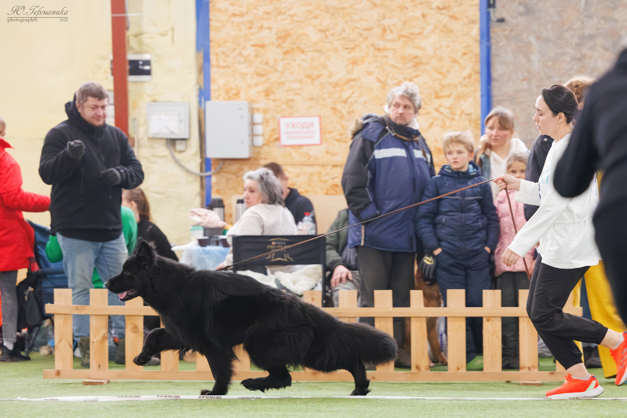 Гран-При 8.02.2025 и Крокус 09.02.2025. Фотограф-анималист Юлия Германика