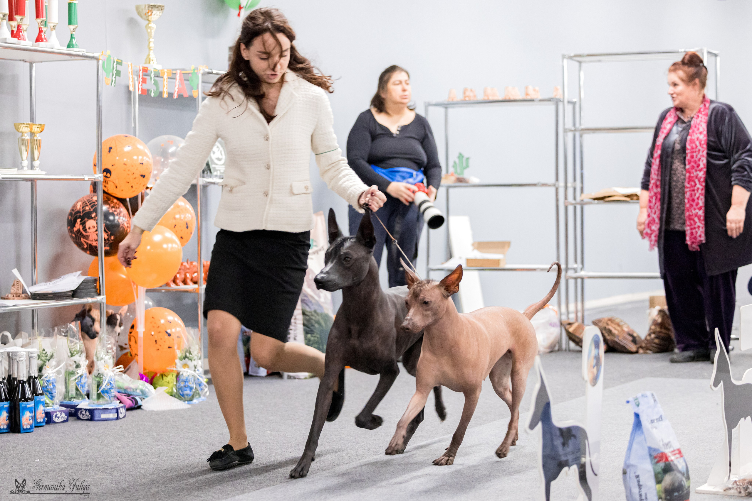 Сфера 29.10,Крокус 4.11,Сфера 12.11.2023. Фотограф-анималист Юлия Германика