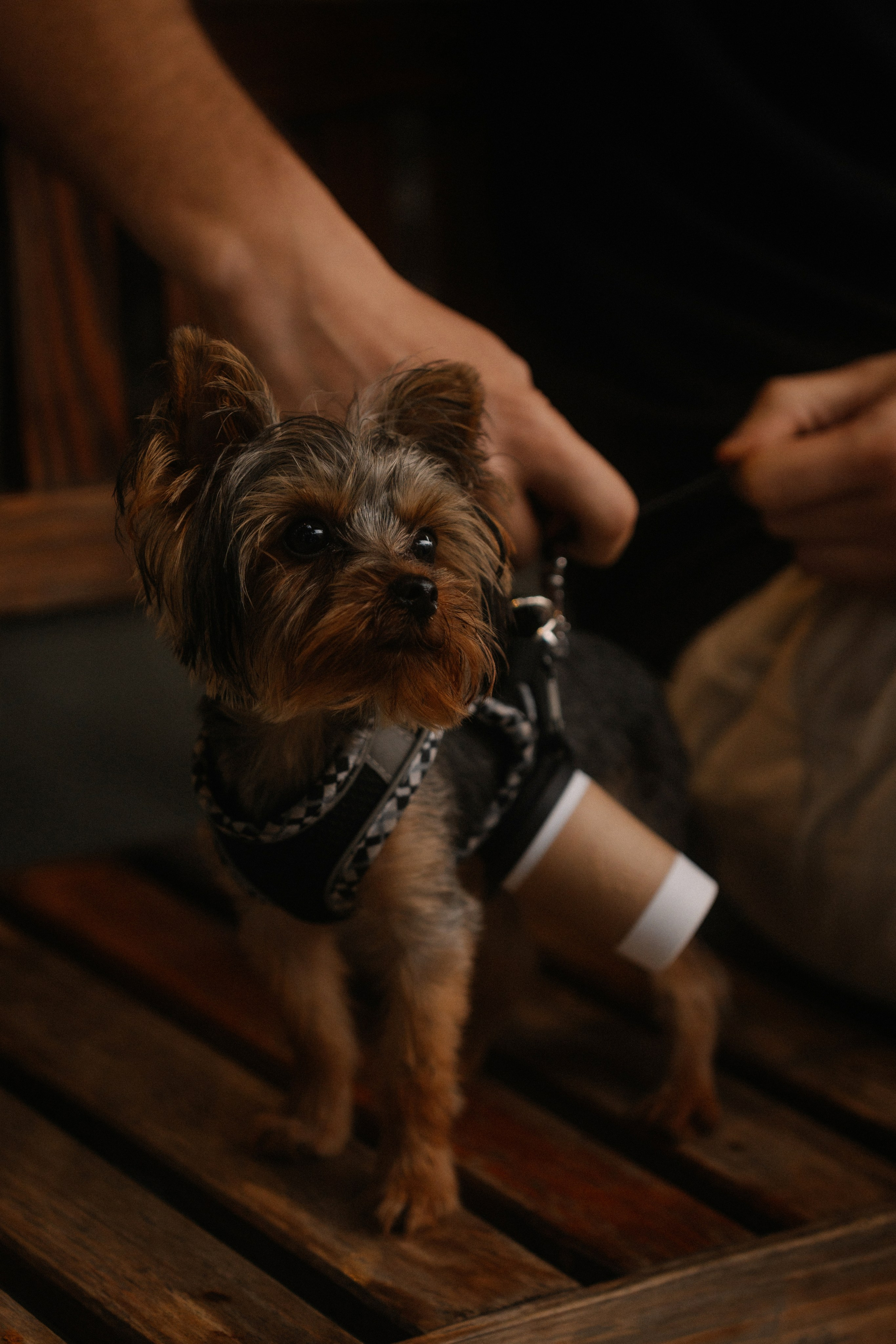 11. Фотограф Батуми | Ксения Кинасова