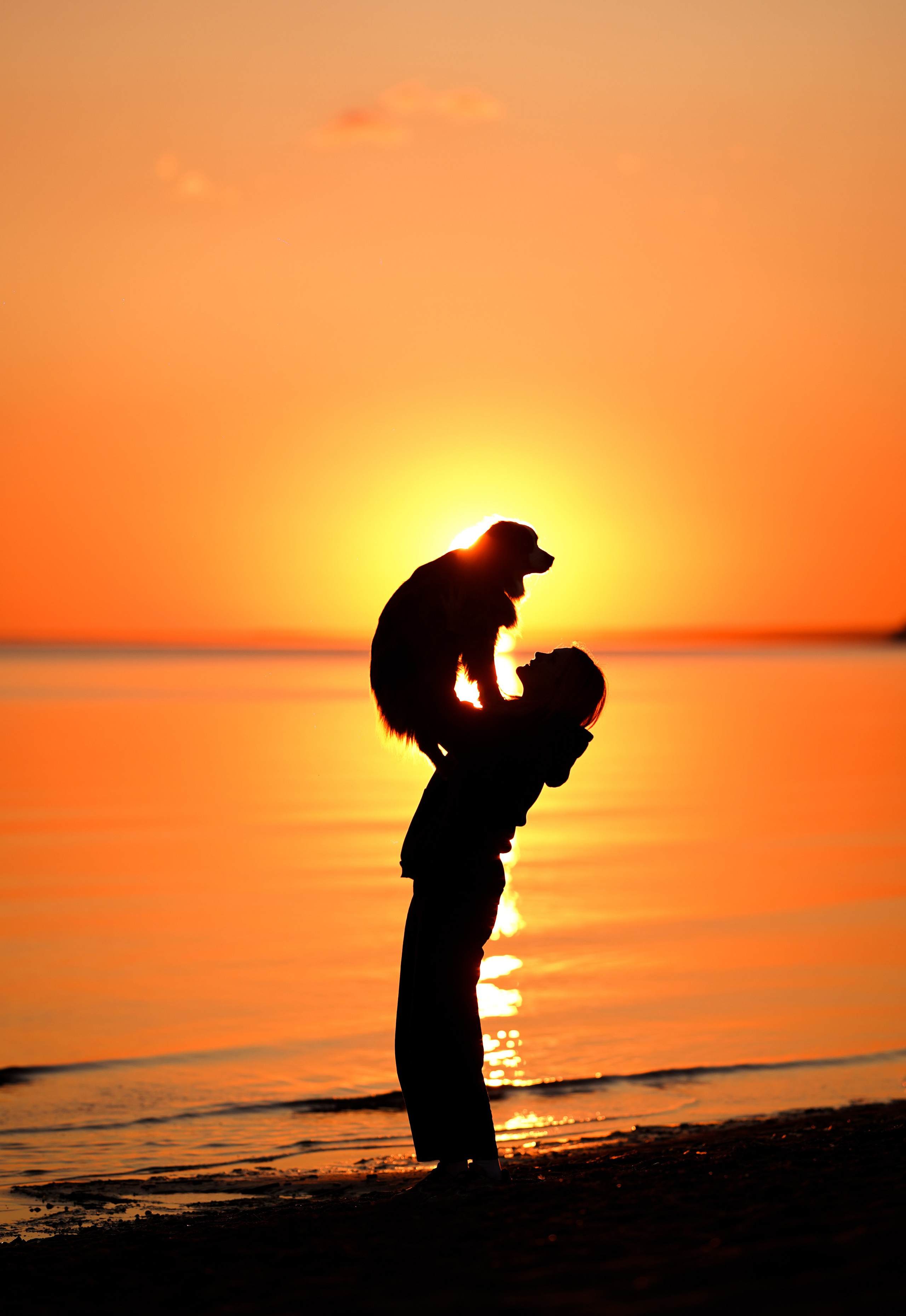Алиса и Джокер. Фотограф-анималист в Санкт-Петербурге Яна Мартынова