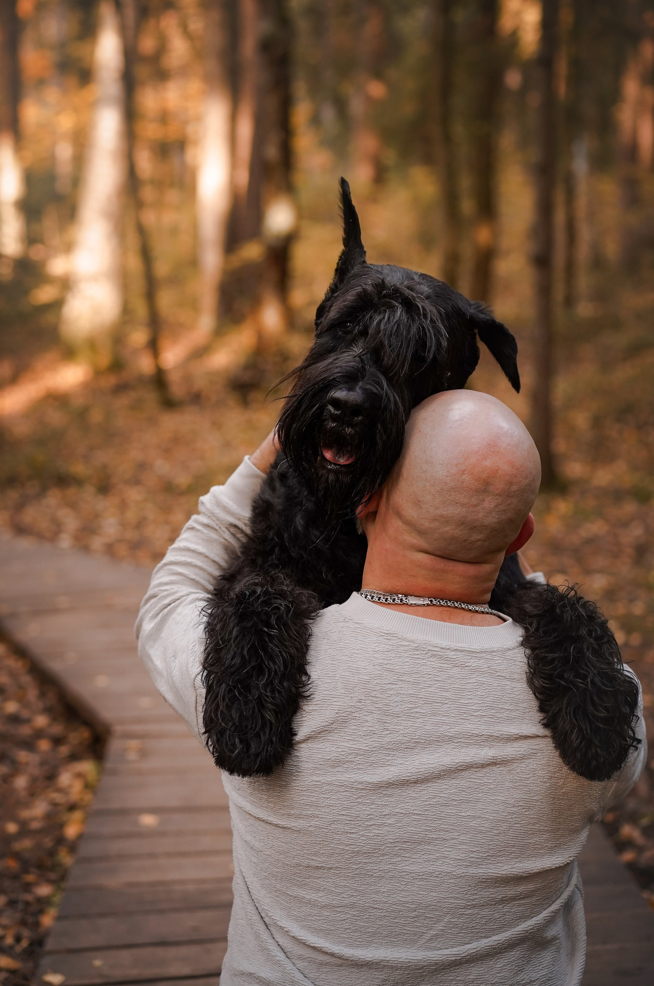Оля Миша и шнауцеры. Фотограф-анималист в Санкт-Петербурге Яна Мартынова