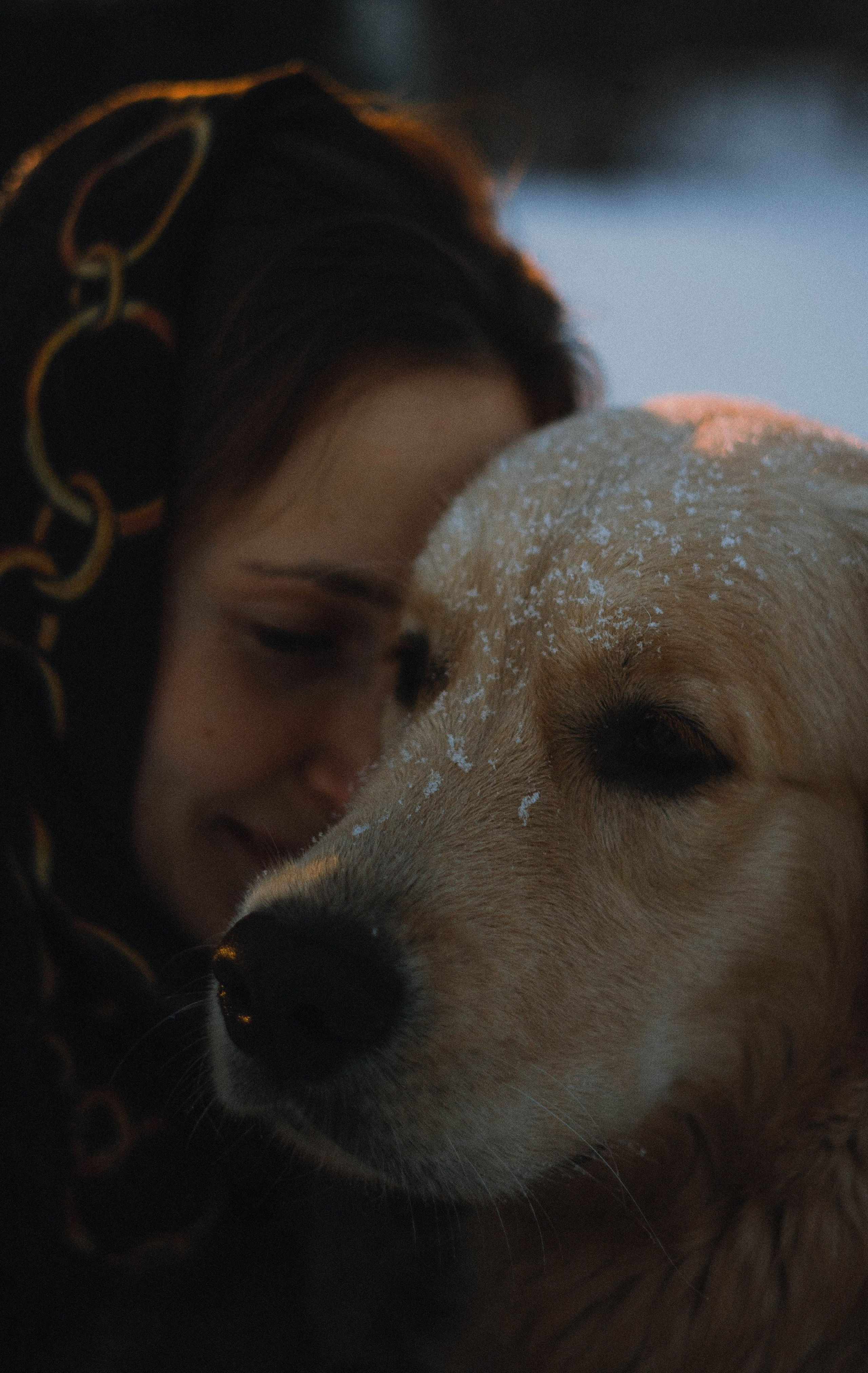 Лена и Декстер. Фотограф-анималист Богданова Полина