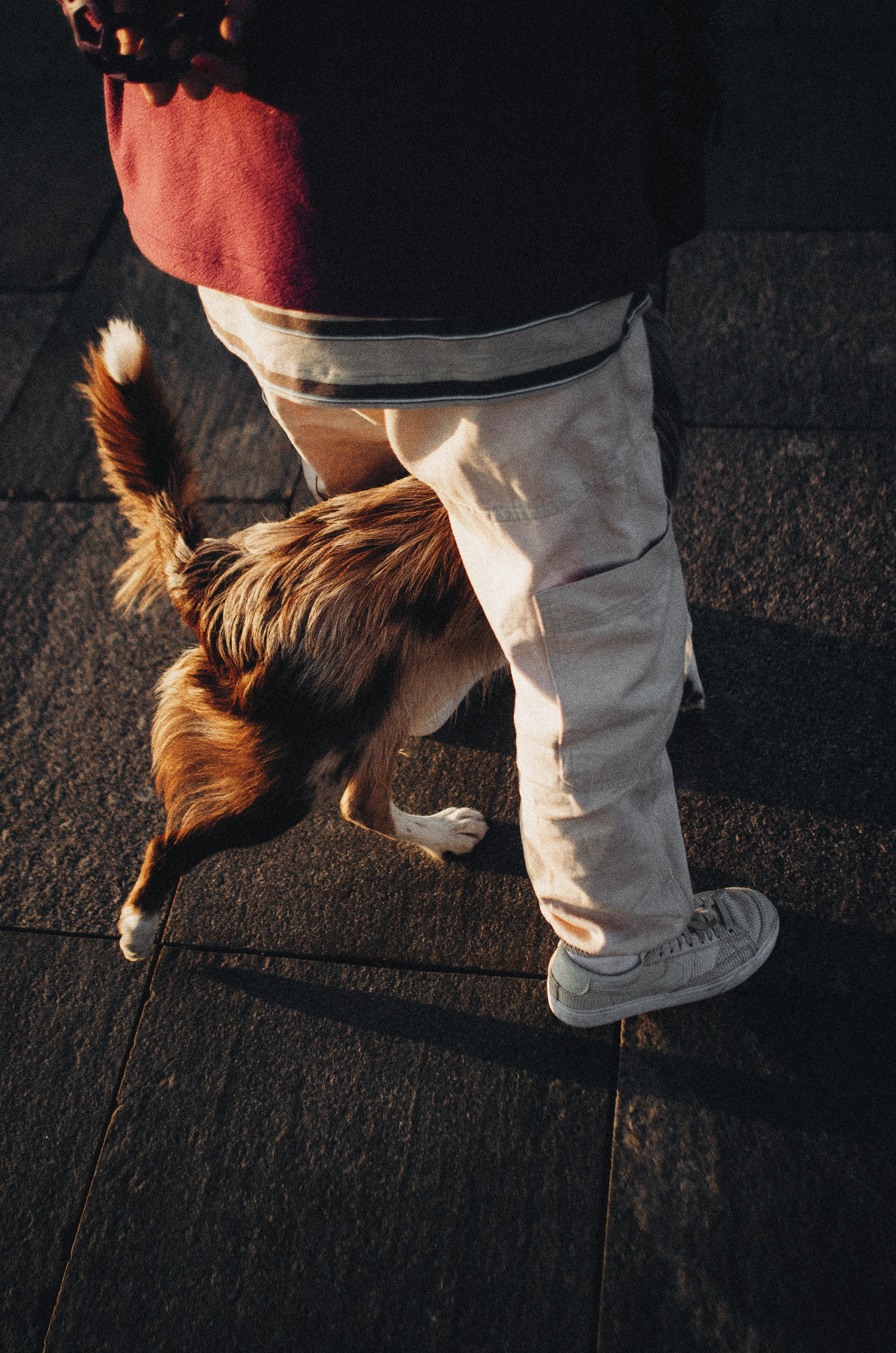 Аня и Дэймон. Фотограф-анималист Богданова Полина