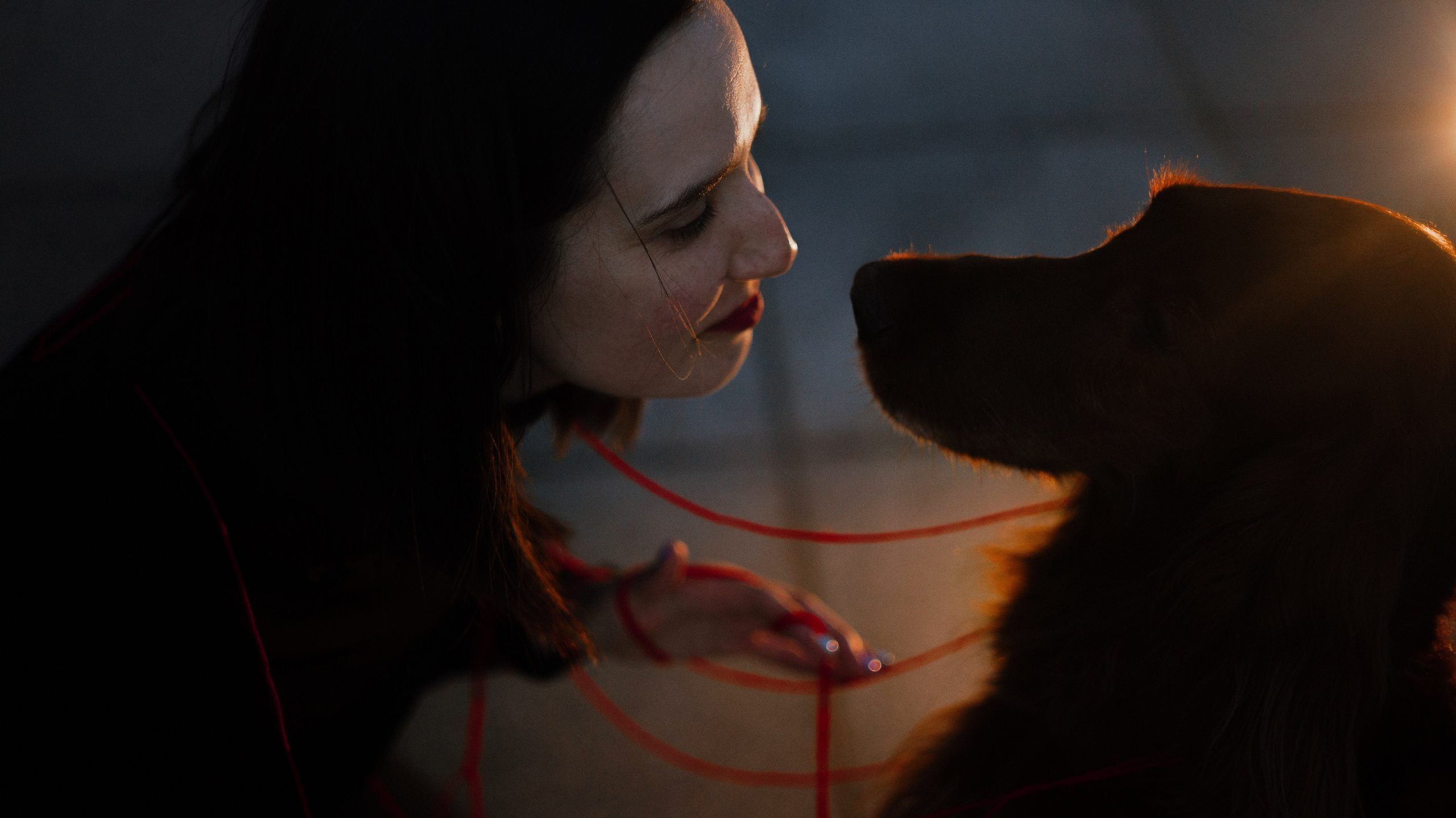 Маша и Лика. Фотограф-анималист Богданова Полина