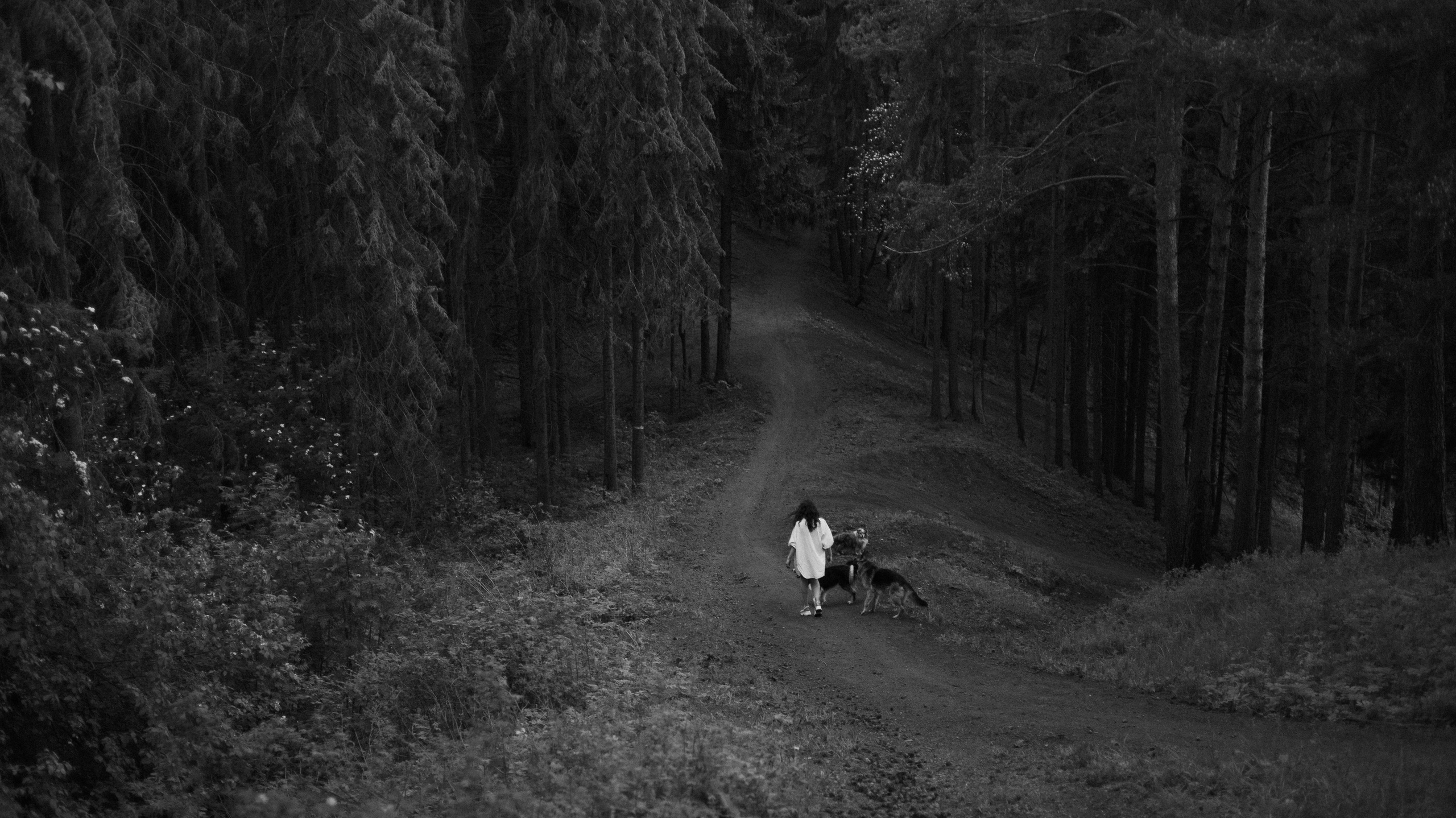 Настя, Шуня, Милка и Тигуан. Фотограф-анималист Богданова Полина