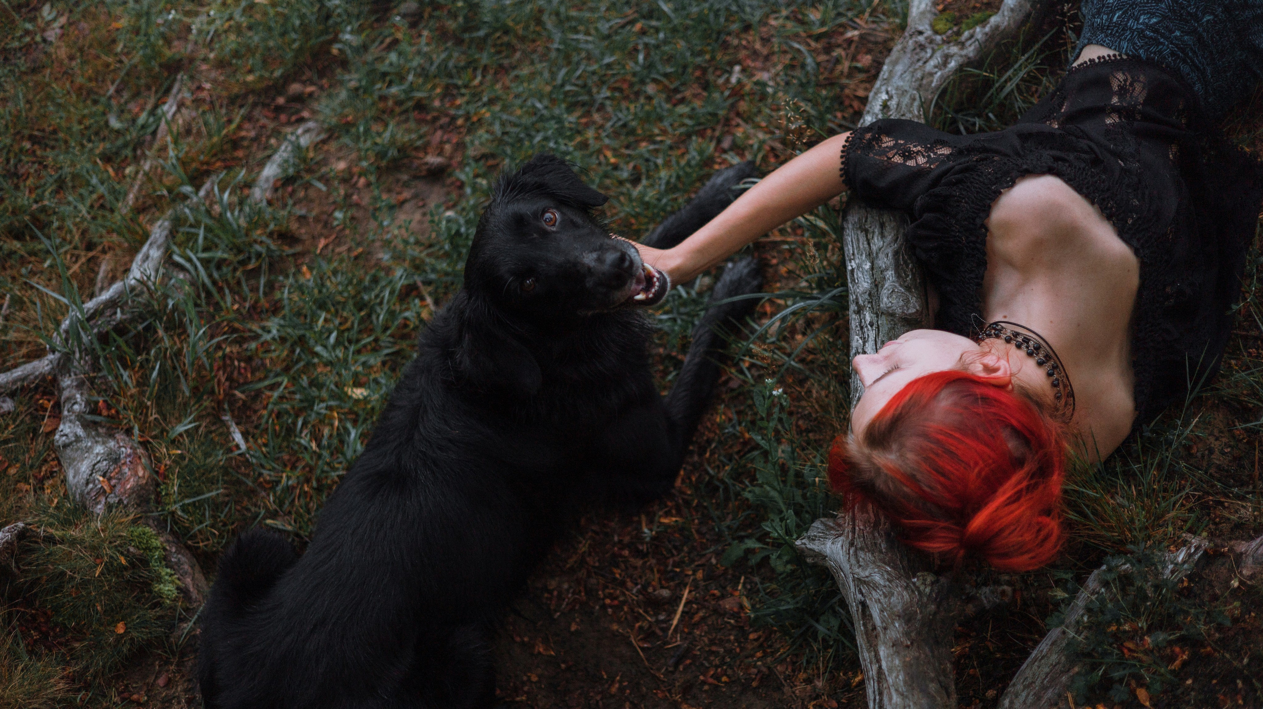 Лиза и Коди. Фотограф-анималист Богданова Полина