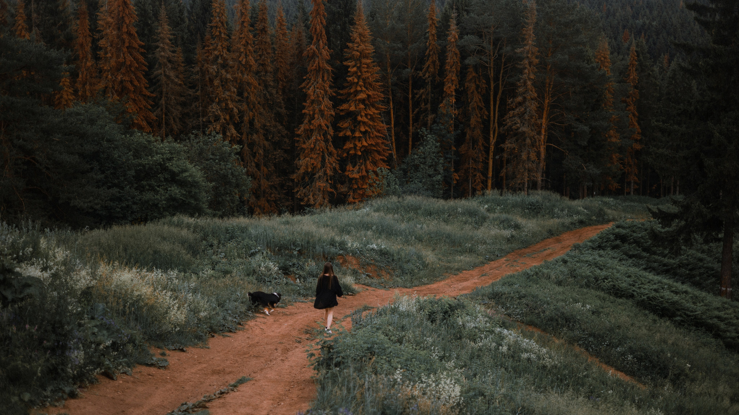 Яна и Уга. Фотограф-анималист Богданова Полина