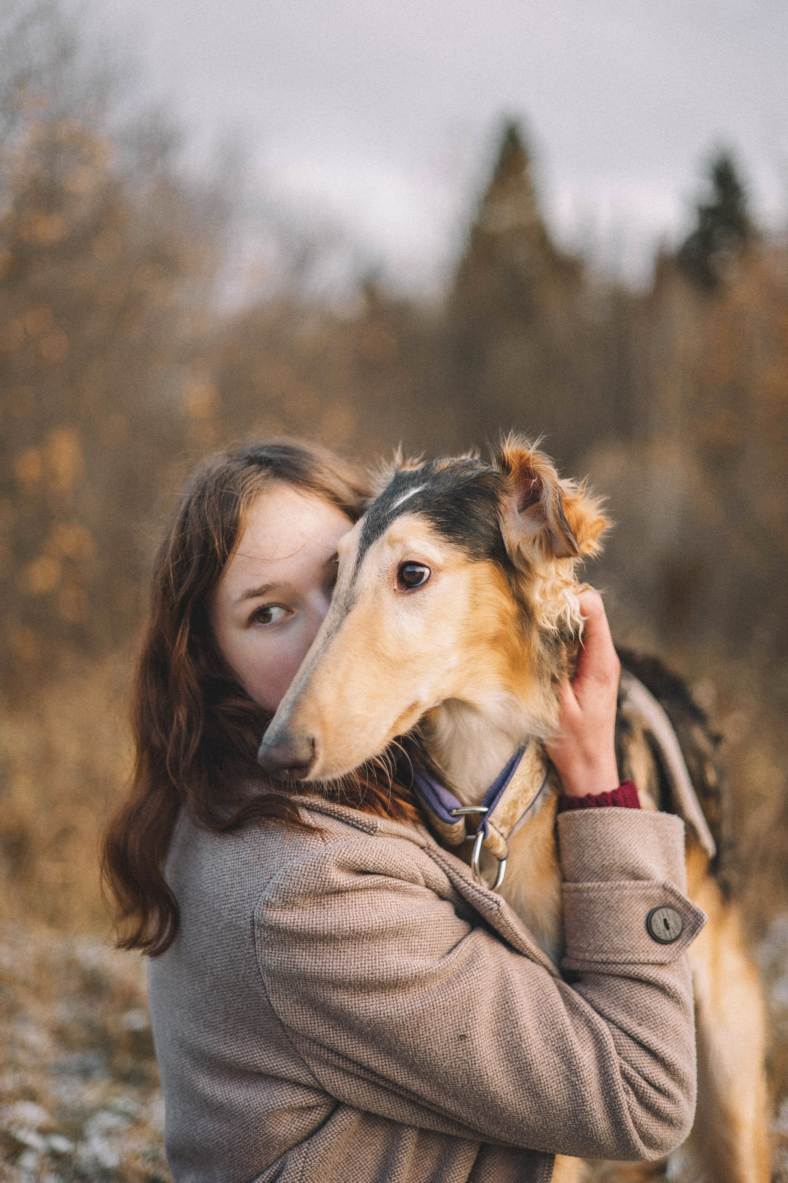 Алена, Леви и Микаса. Фотограф-анималист Богданова Полина