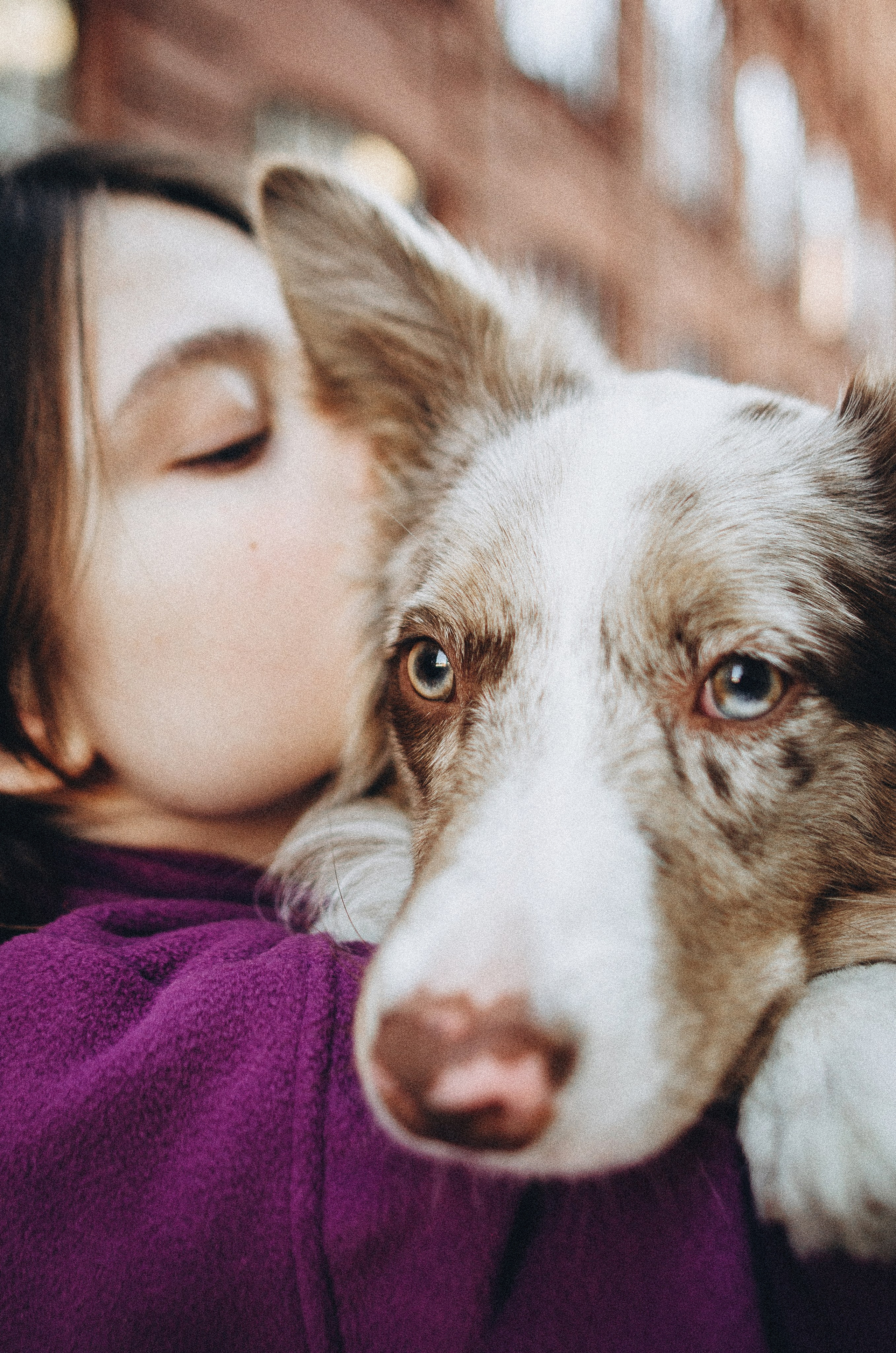 Аня и Дэймон. Фотограф-анималист Богданова Полина