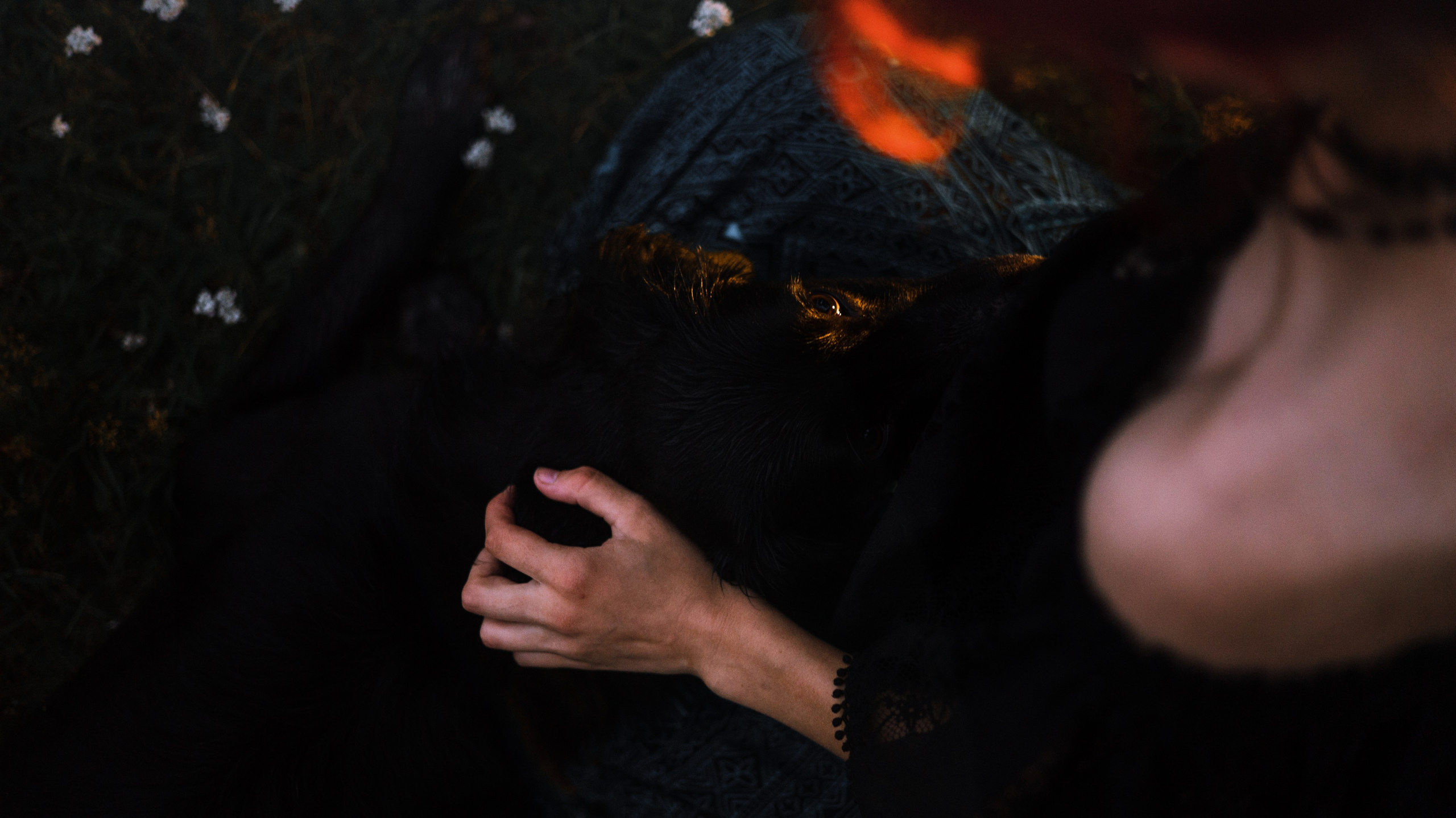 Лиза и Коди. Фотограф-анималист Богданова Полина