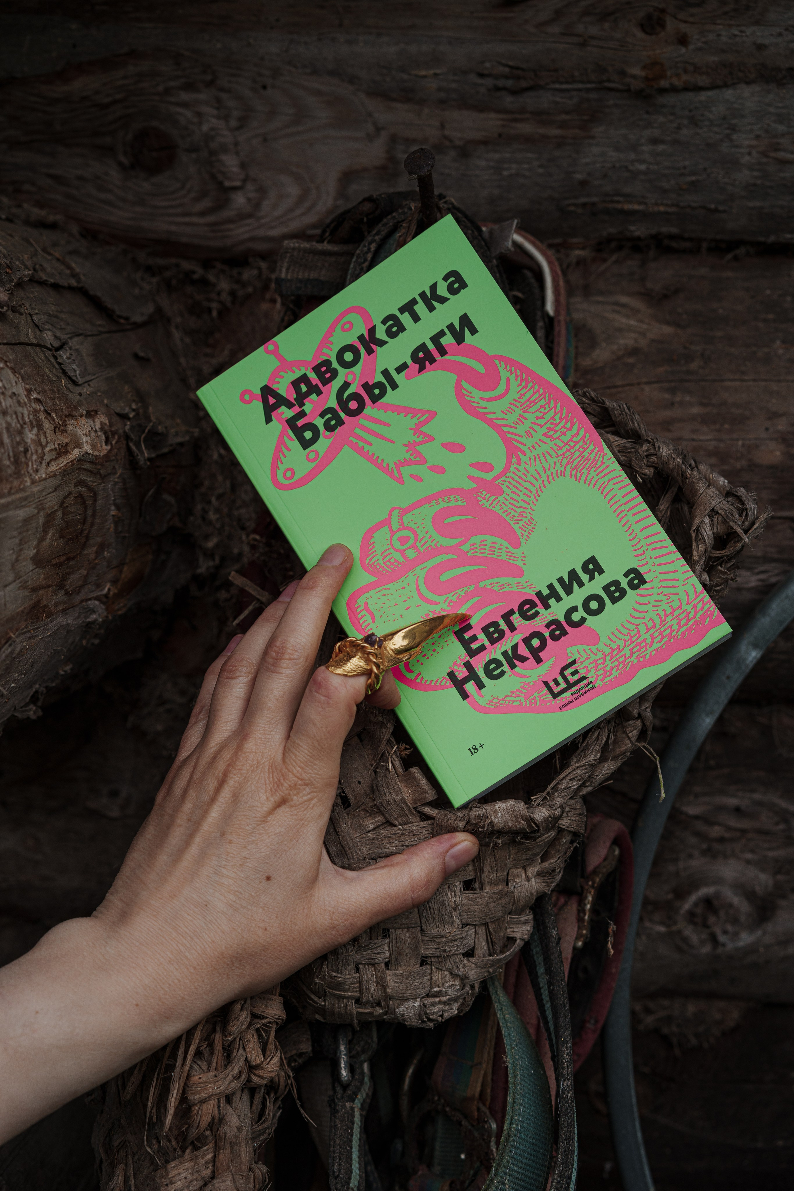 Баба Яга. Семейный фотограф Клубкова Мария. Поместье Клу