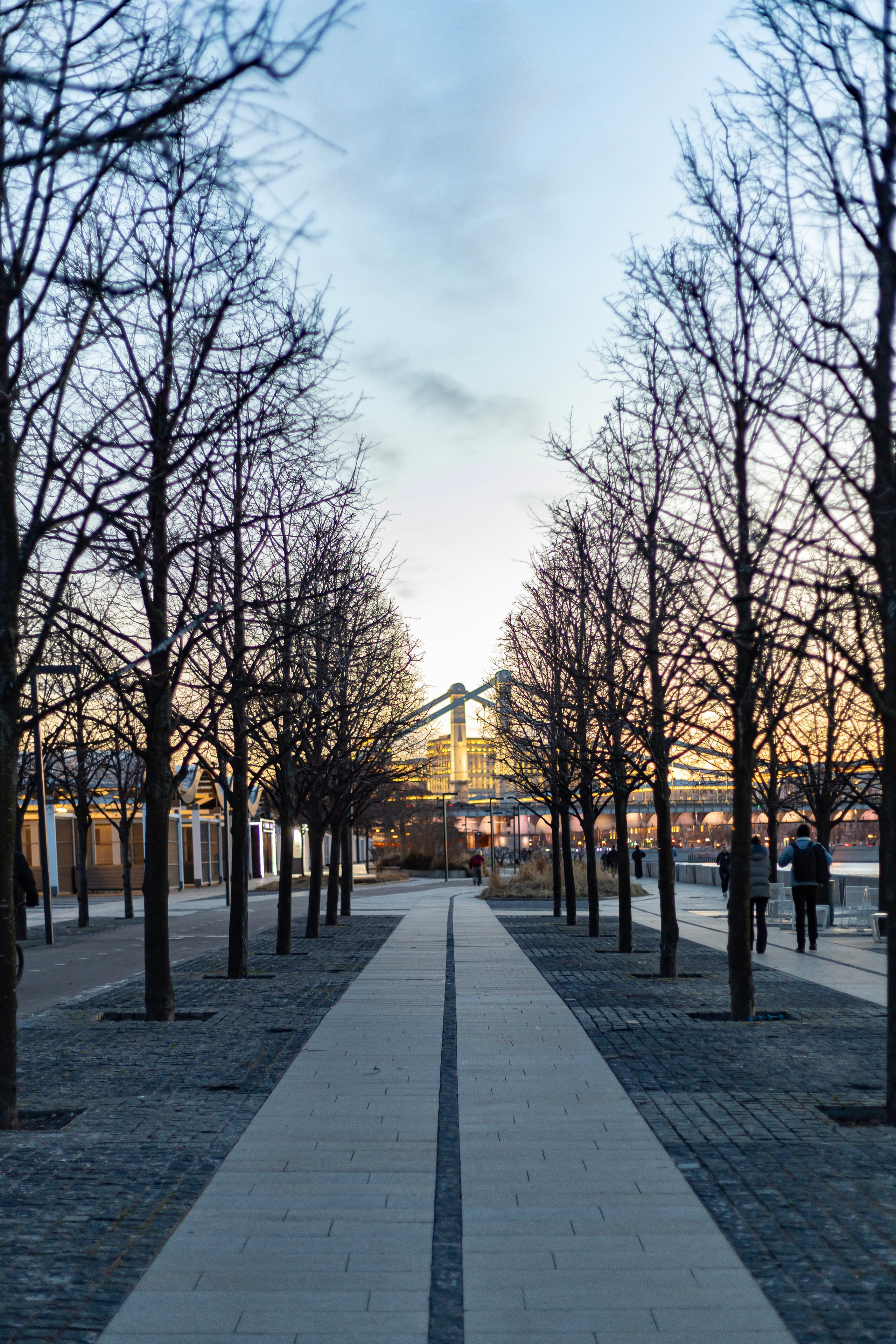 MSK. Фотограф Александр Глебов