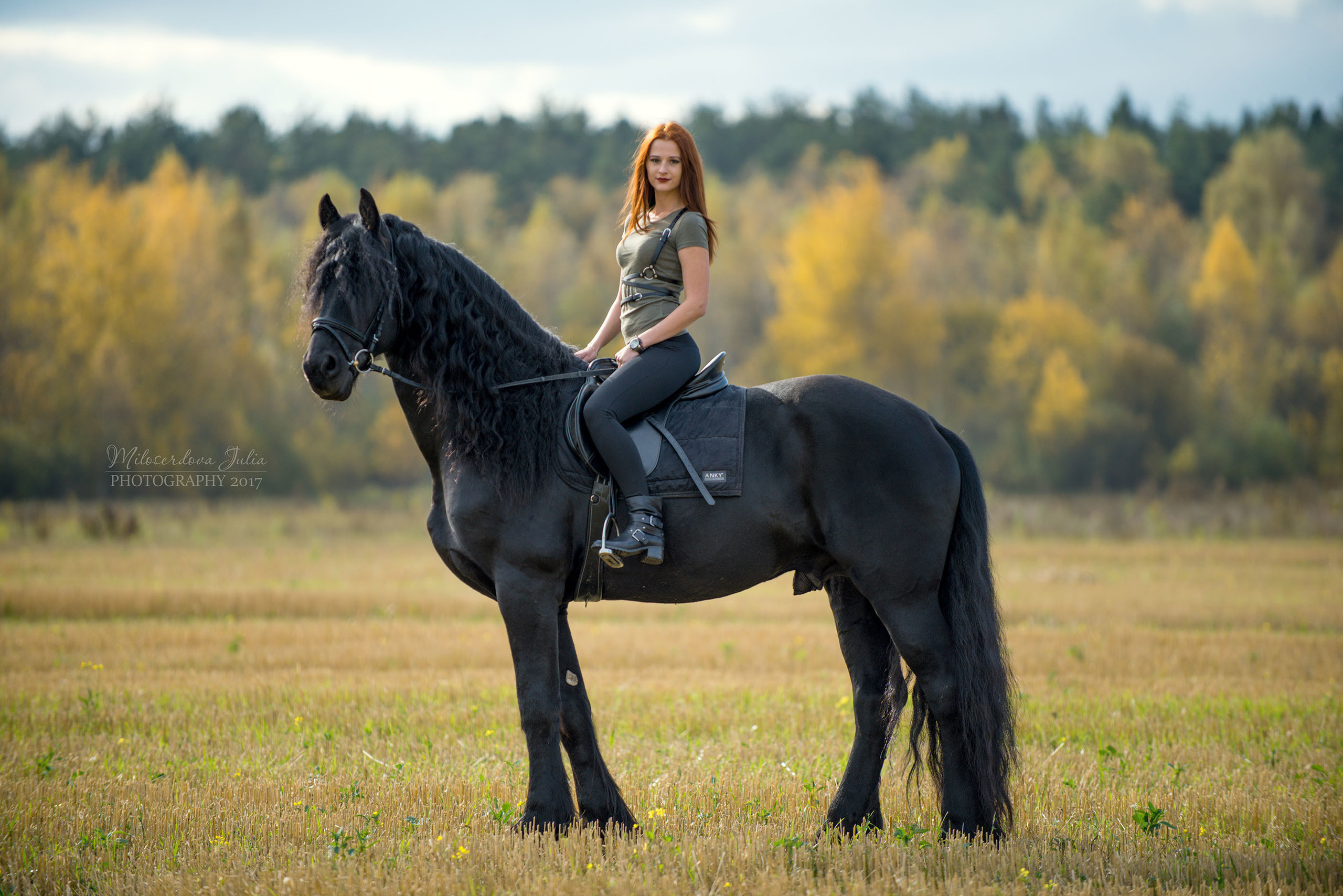 Фотосессии с лошадьми. Фотограф Юлия Милосердова