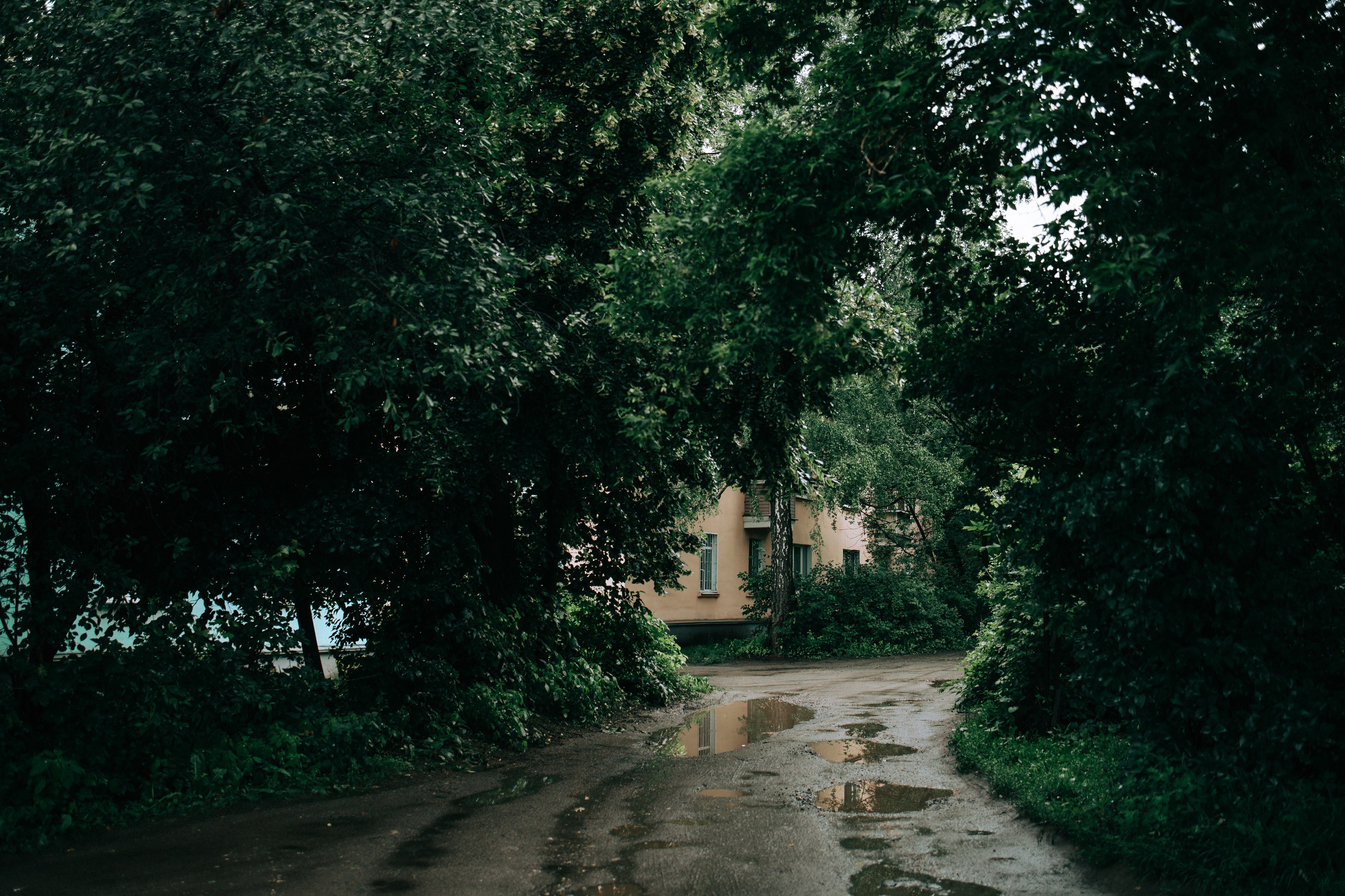 Дождливое лето. Свадебный и семейный фотограф в Туле и области Маша Костина