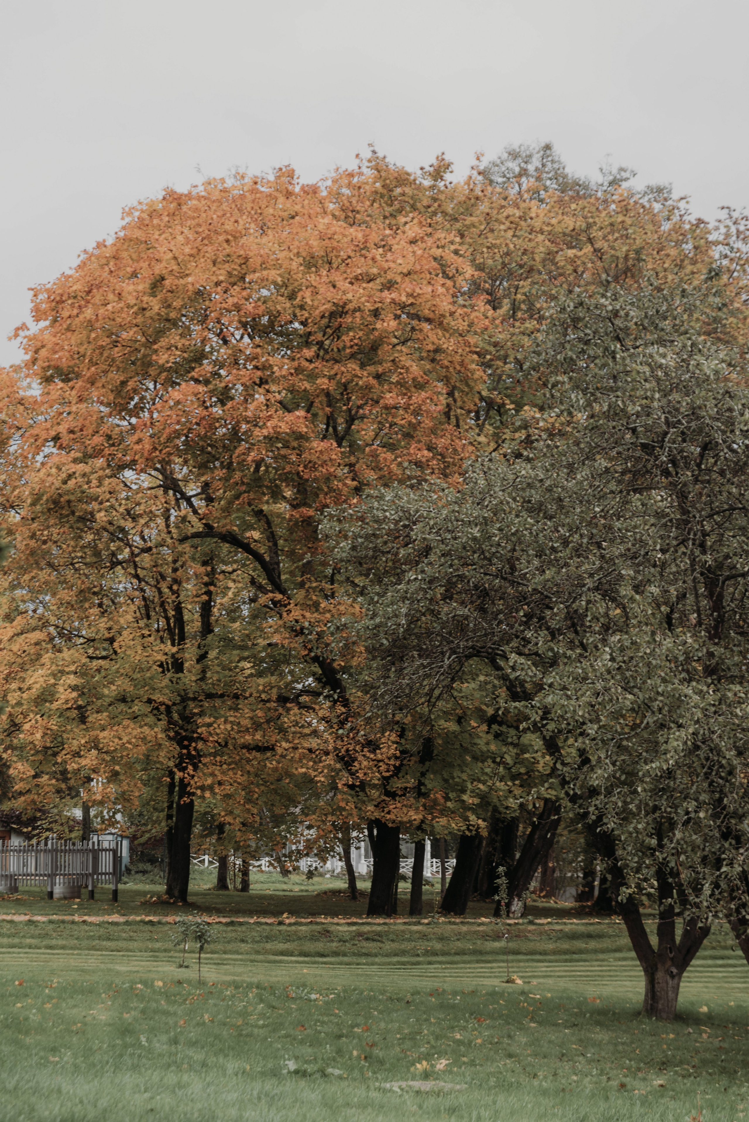 Свадебная фотосессия в Твери в красивой локации в замке в Московской области. Свадебный фотограф в Твери, Москве и Санкт-Петербурге Денисова Екатерина