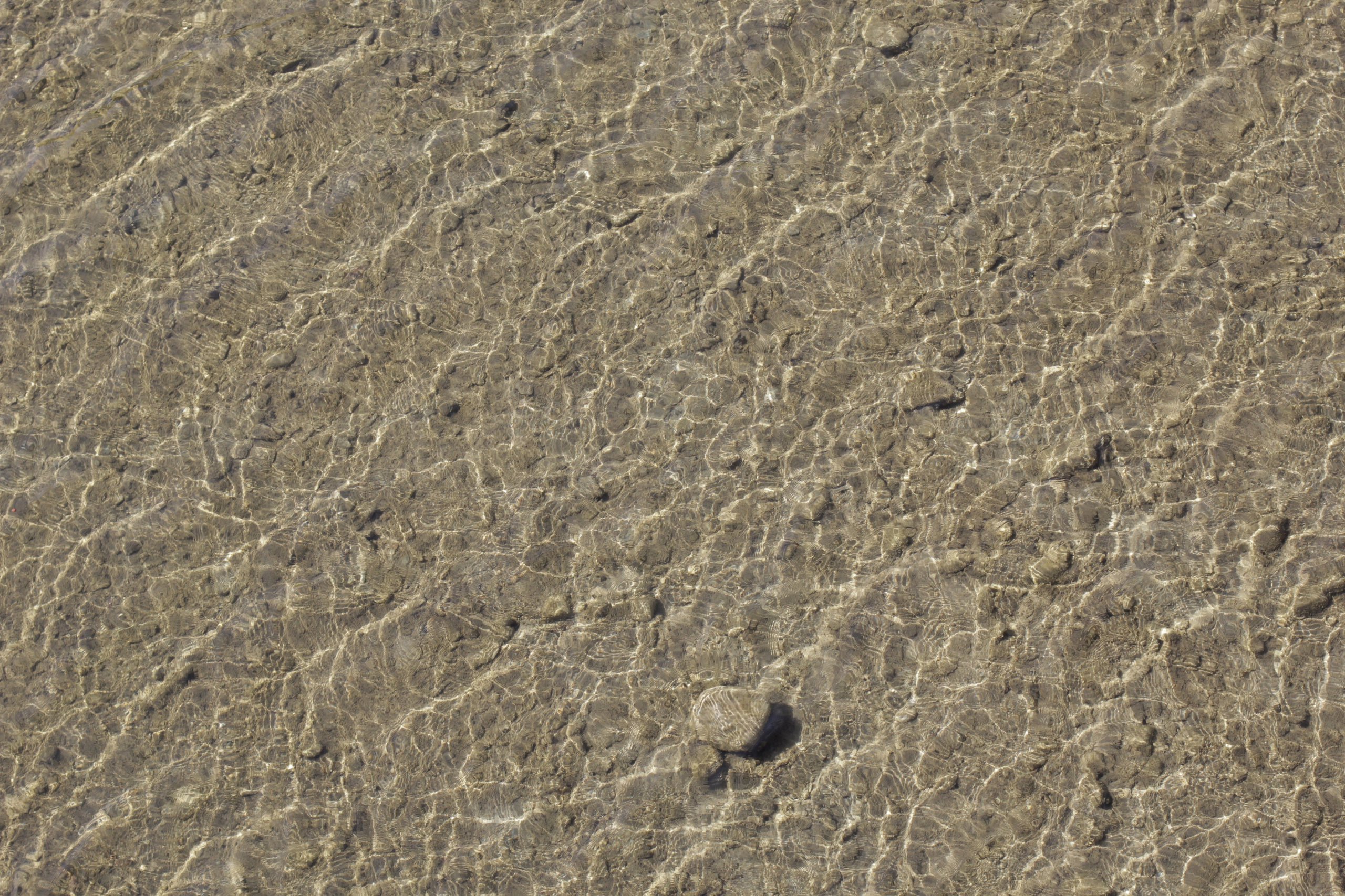 Горячий Ключ (2024-09-22). Собор Отрасли