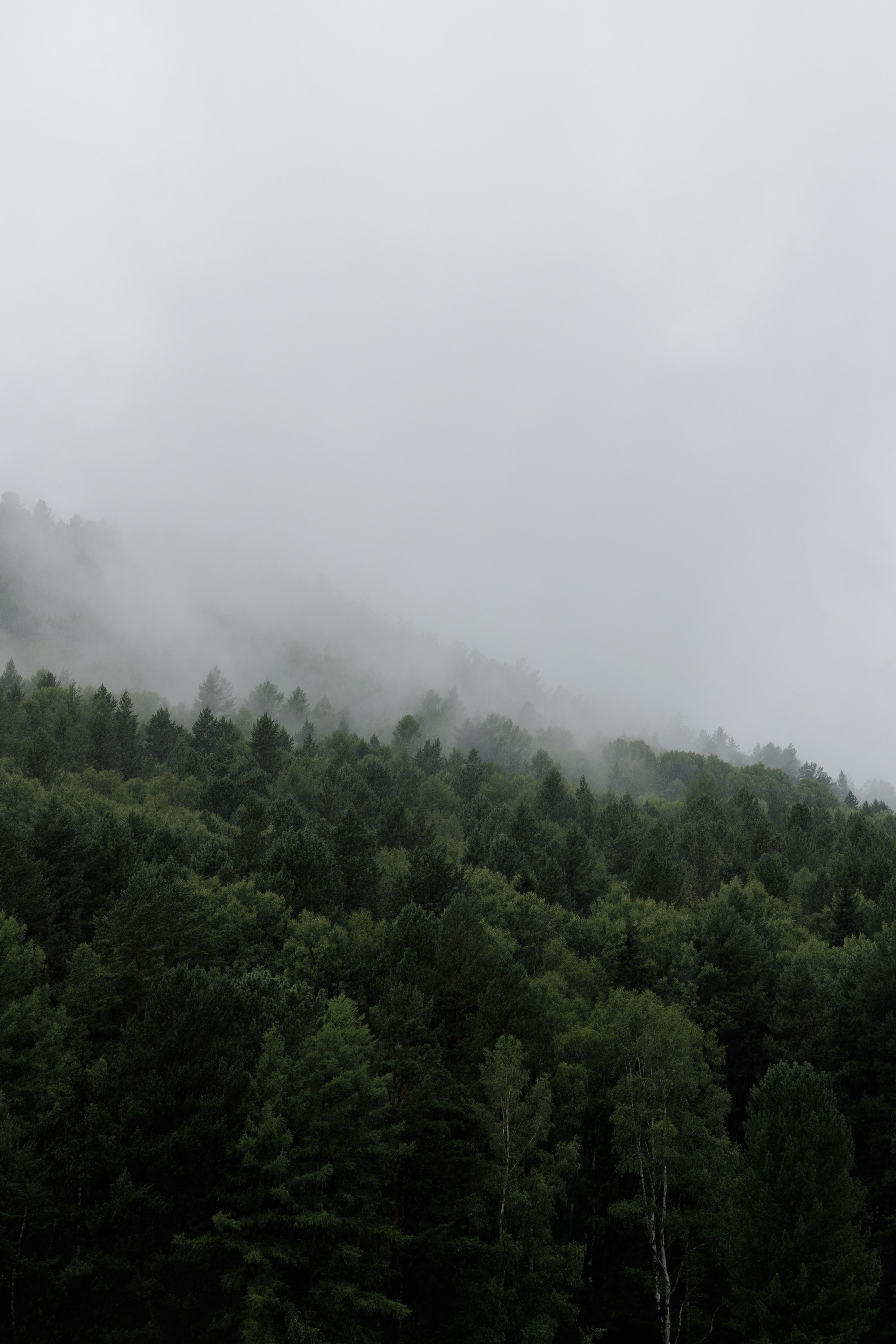 Свадьбы. Свадебный фотограф