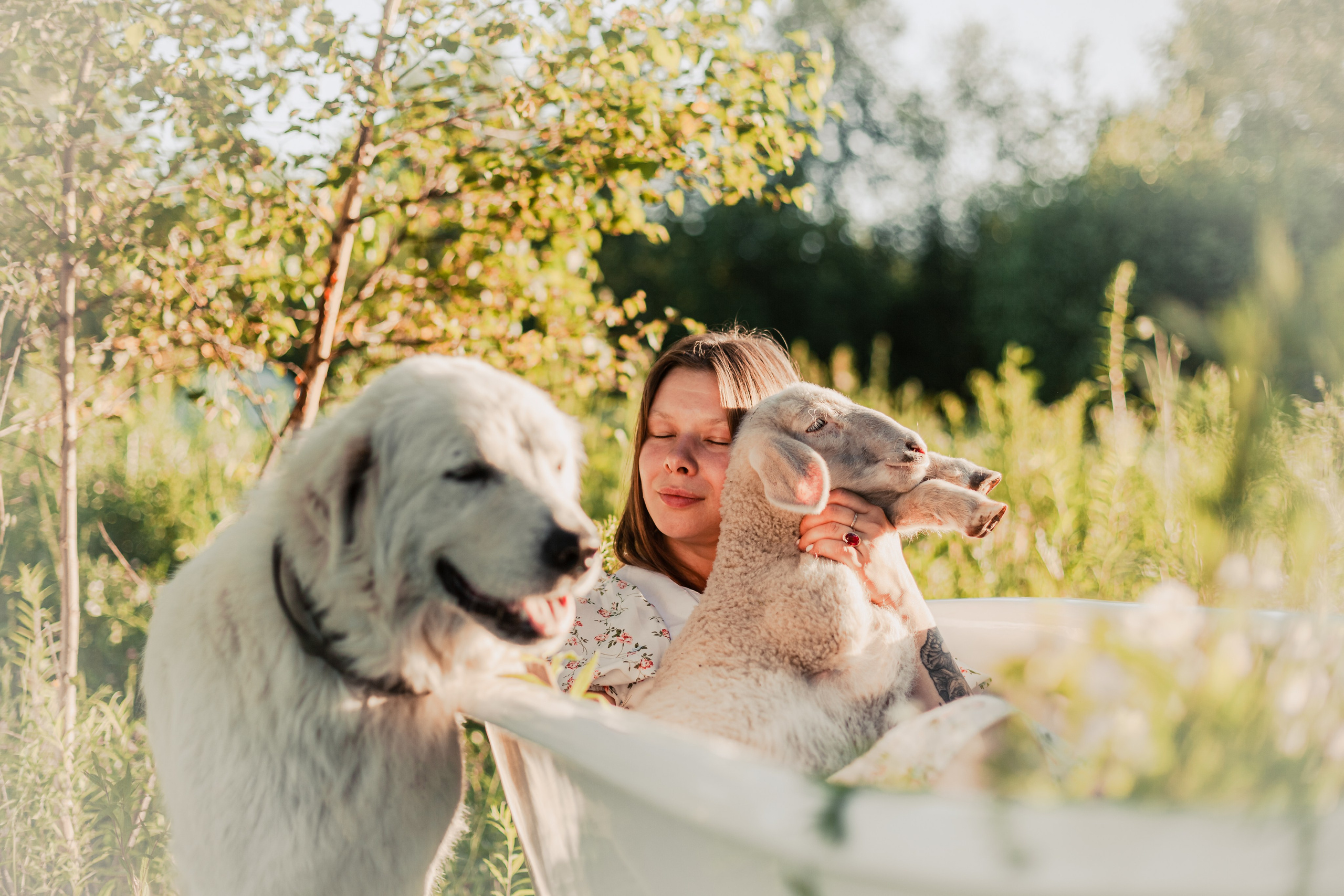 Ванна в поле. Фотограф-анималист Татьяна Степанова