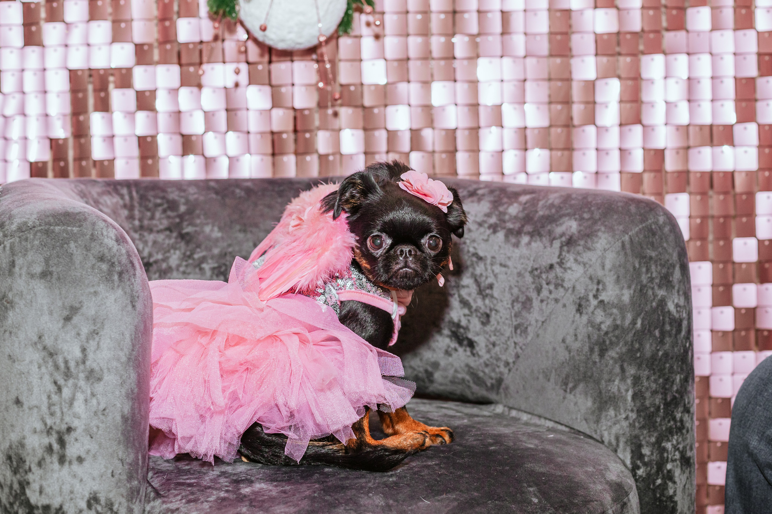 Бульёлка 2024. Фотограф-анималист Татьяна Степанова