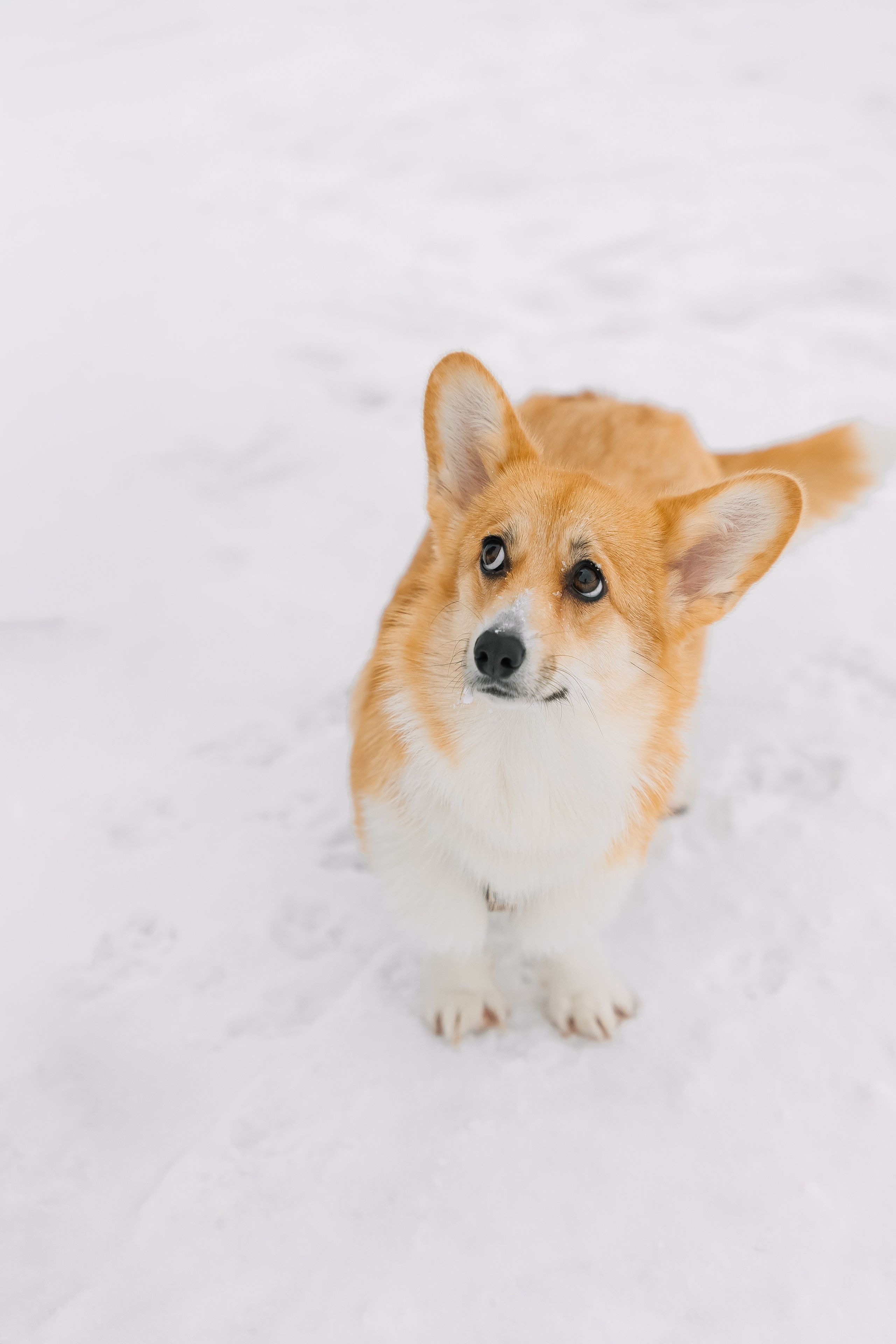 Зимние выходные. Свадебный Фотограф Минск || Фото и Видеосъёмка Минск || Другие города