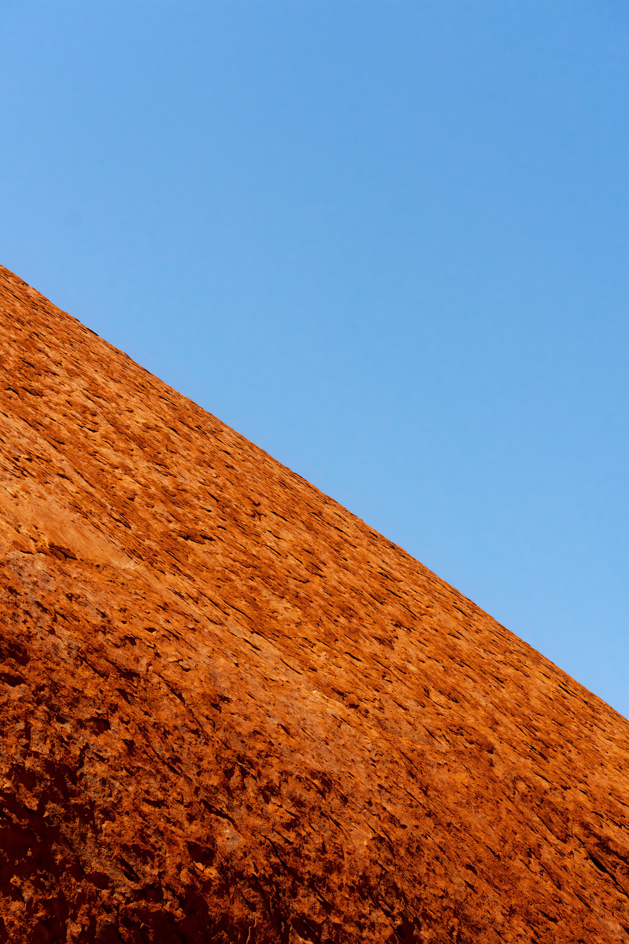 Австралия. Фотограф в Хабаровске. Фотография за 24 часа