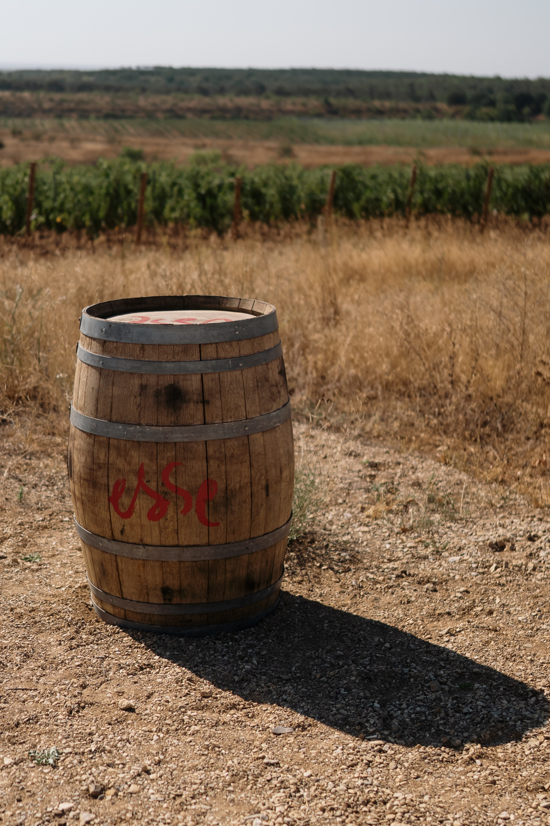 Стреляй пузырями, целуйся всерьез!. Свадебный и портретный фотограф Алена Седининна в Крыму