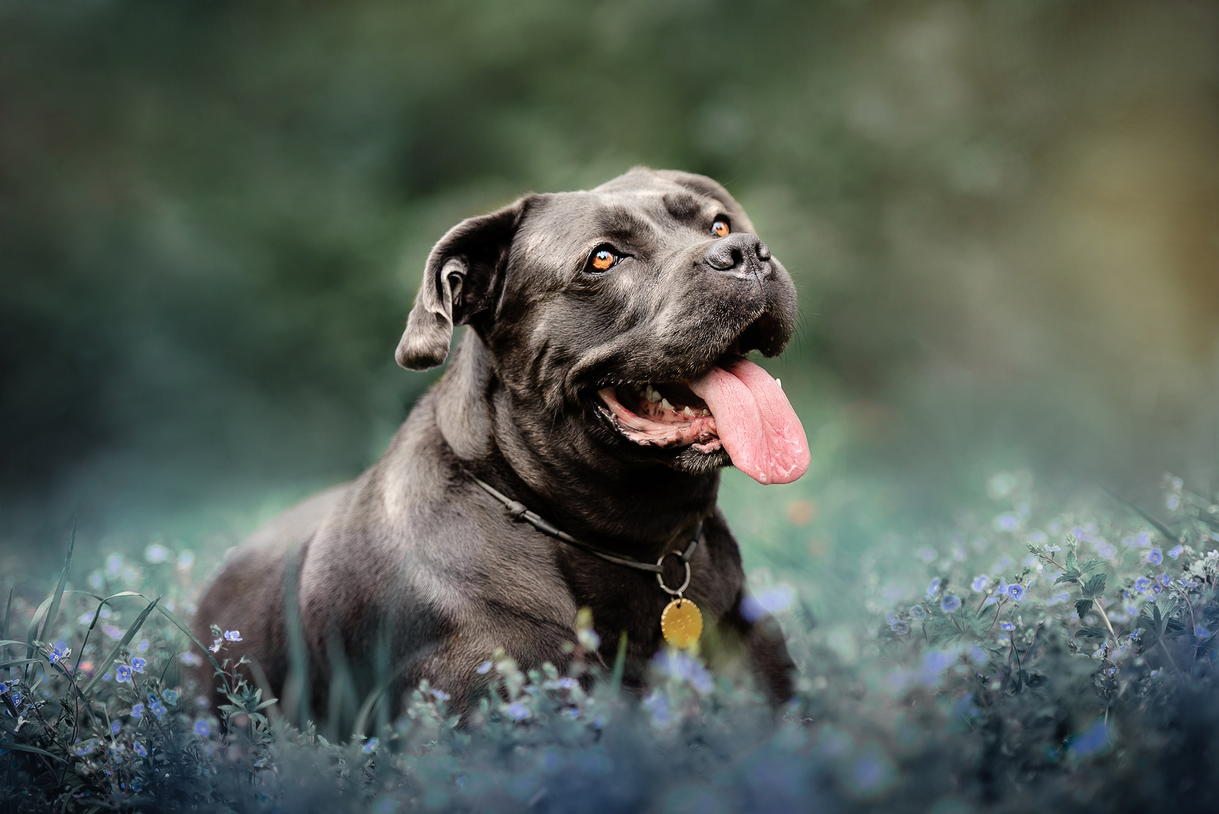 Кристина и Тея. Семейный Фотограф в Москве Ирина Хохлова