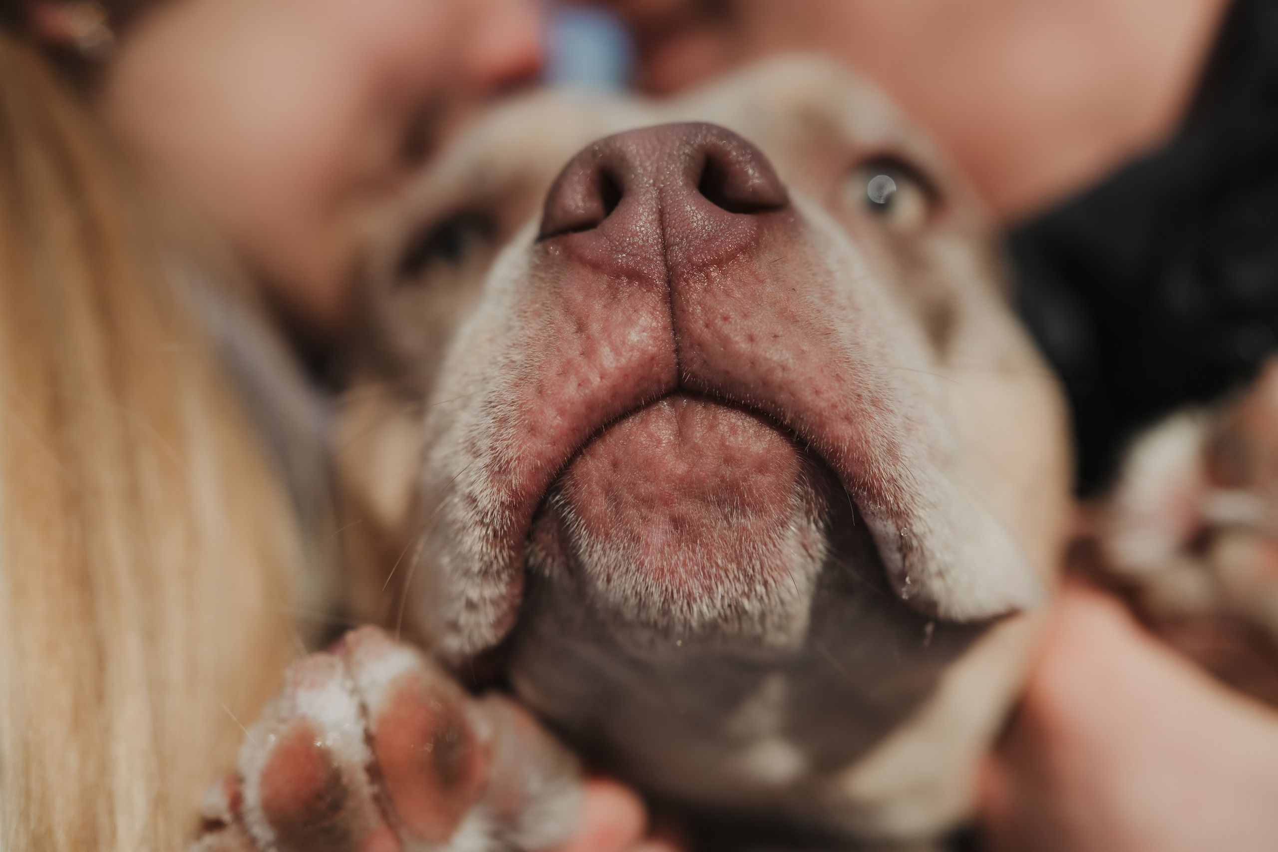 Зимняя LOVE STORY Вики, Артёма и Булочки. Семейный Фотограф в Москве Ирина Хохлова