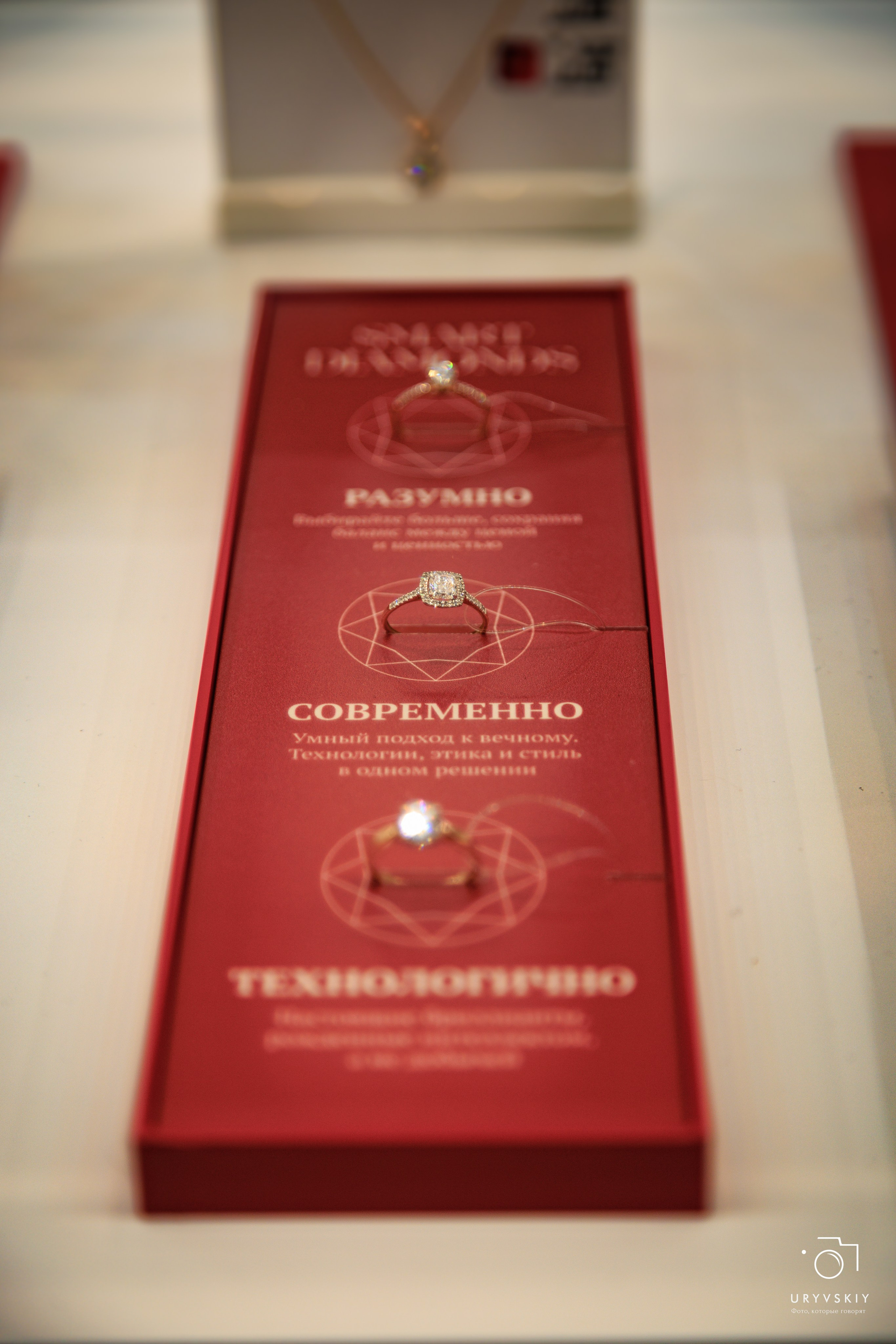 Шоу Top Model — Партнерские съемки. Игорь Урывский. Фотограф Красноярск