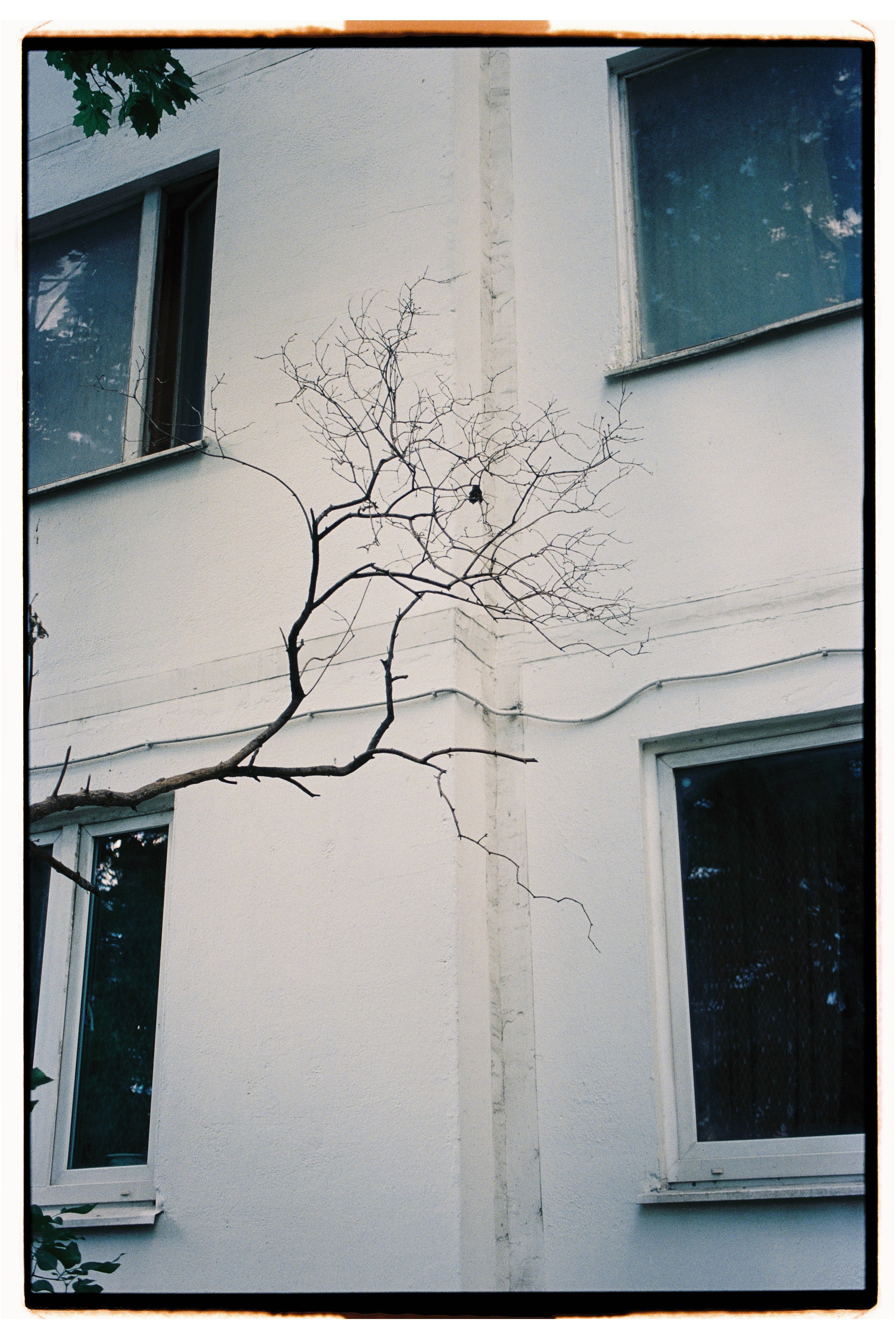 Стрит. Фотограф Соня с Земли