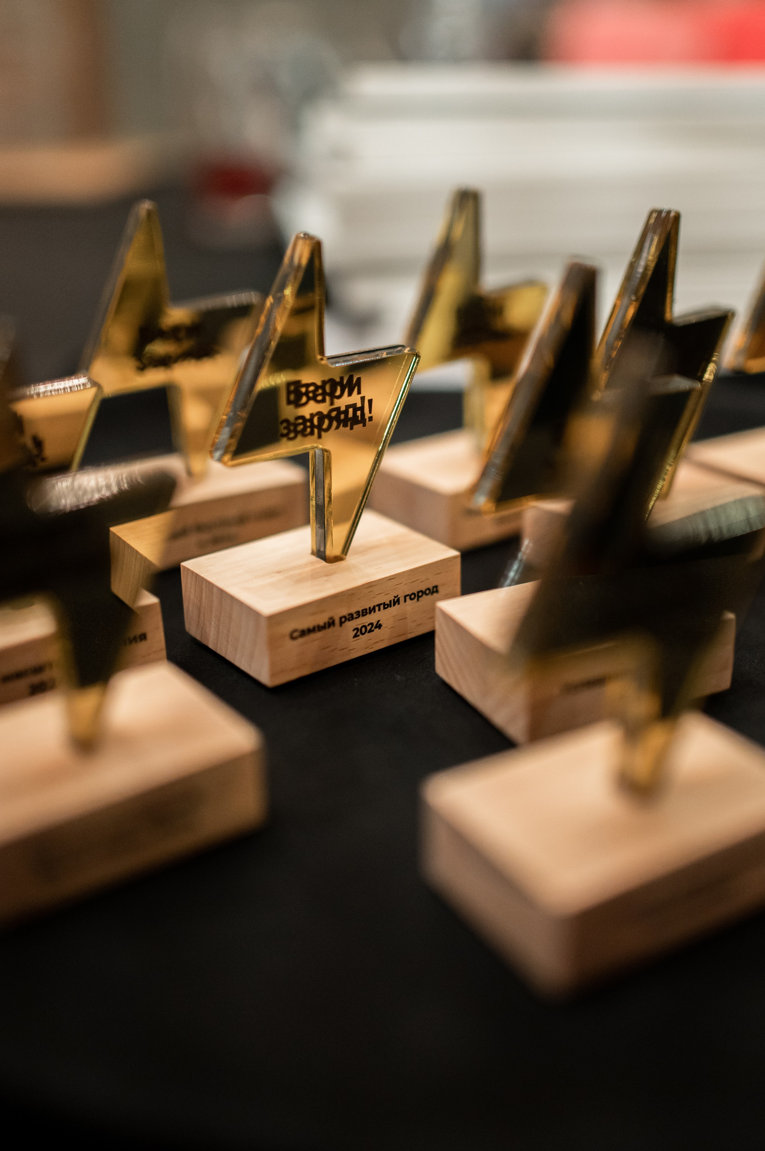 Съезд франчайзи «Бери заряд!». Алена Братчук репортажный фотограф