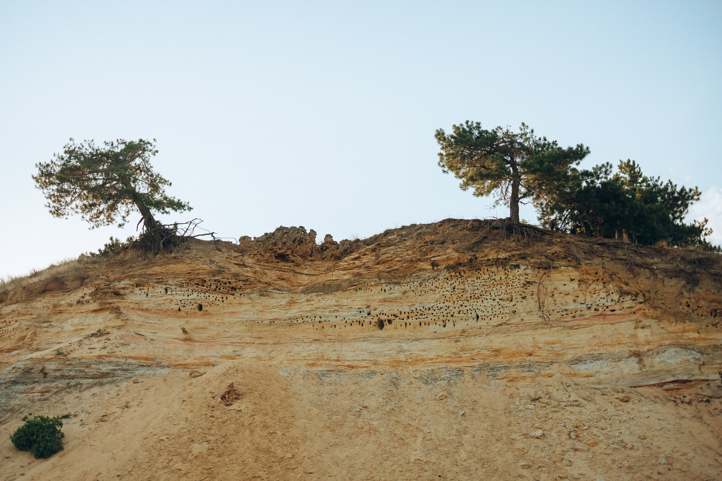 Семейная фотосессия. Семейный фотограф в Волгодонске Краченцева Анна