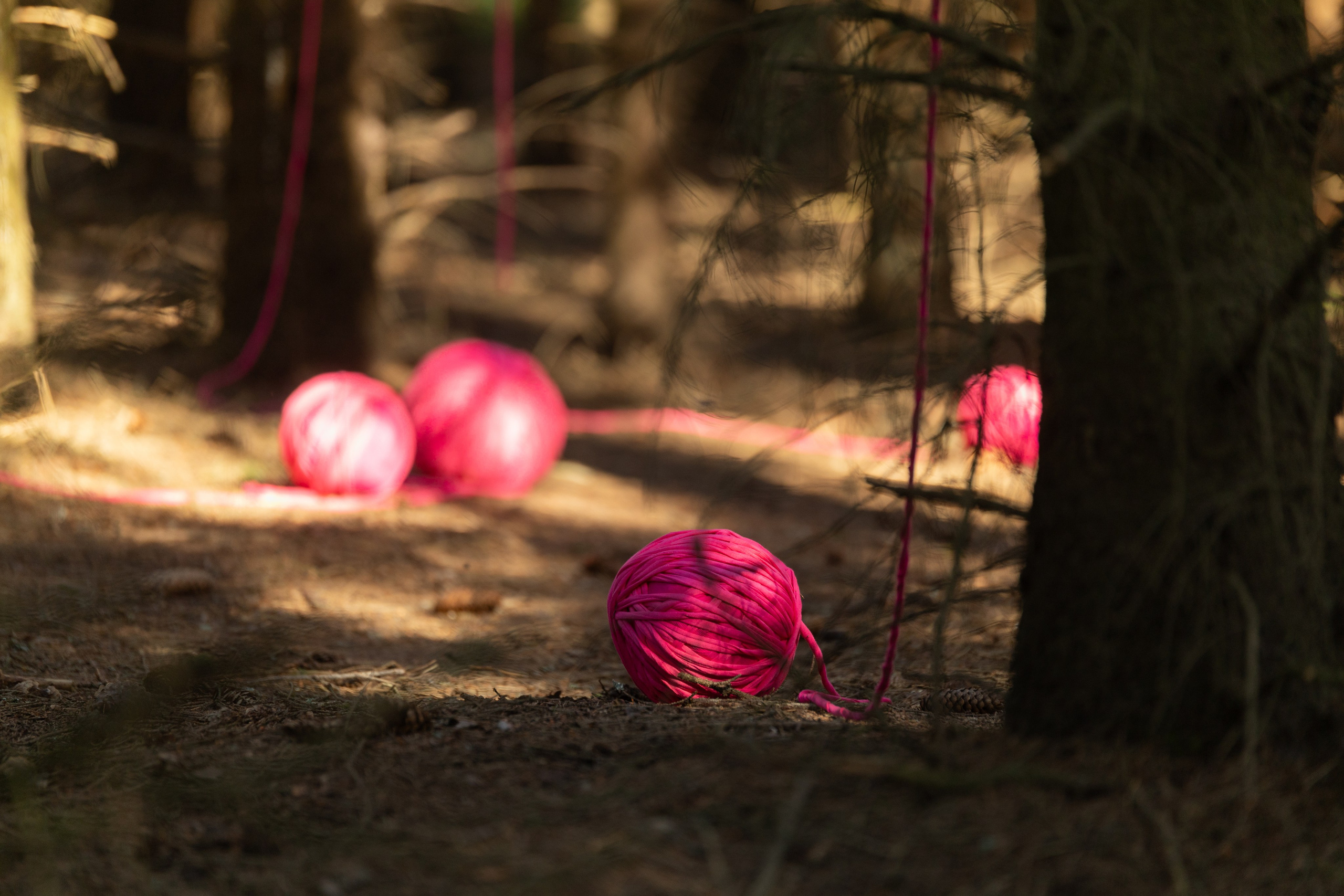 Предметные фотографии Виктор Степанов. Фотограф Виктор Степанов