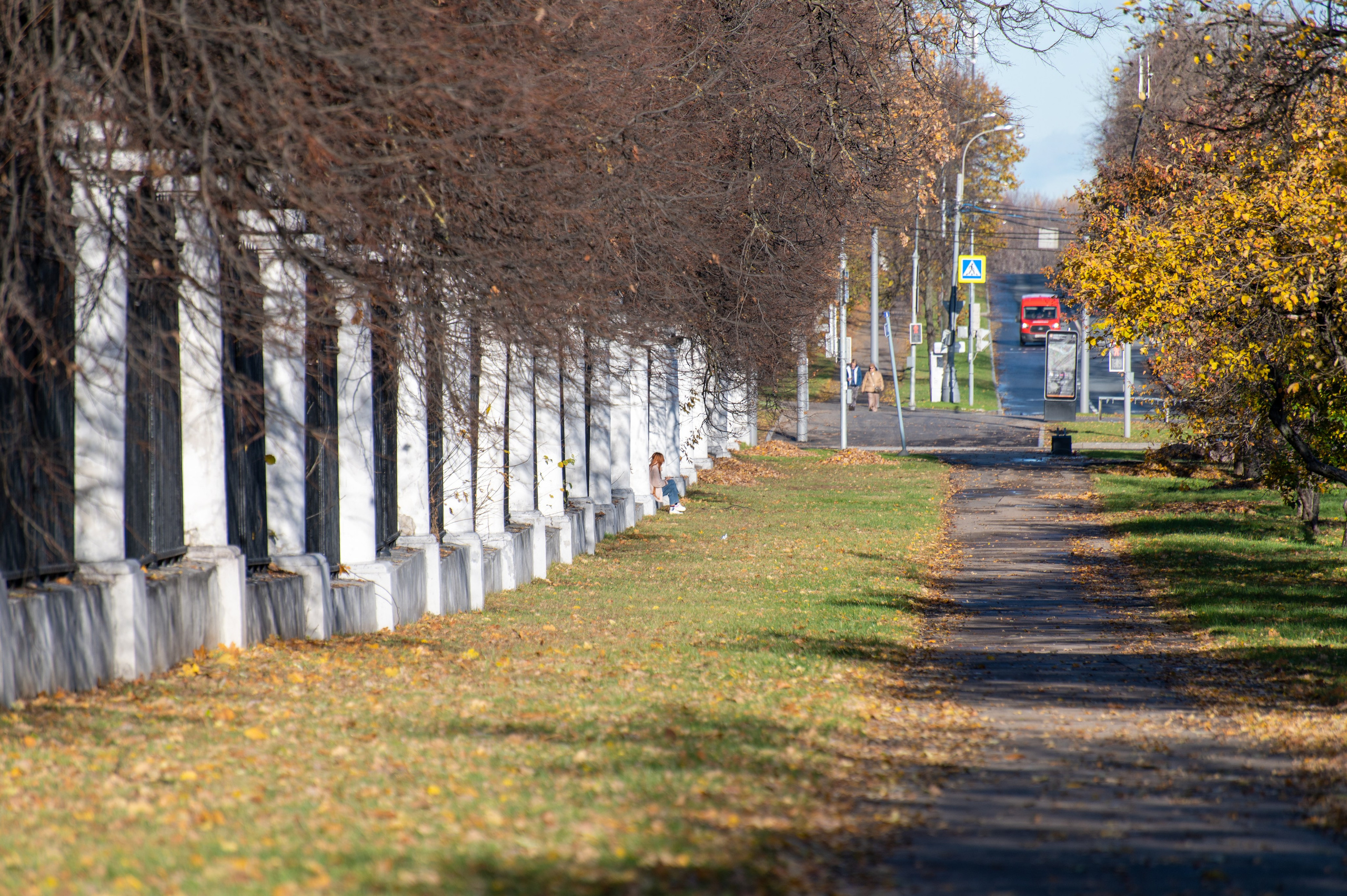 20241102 МГУ. Дмитрий Ремизов. Фотография, как хобби