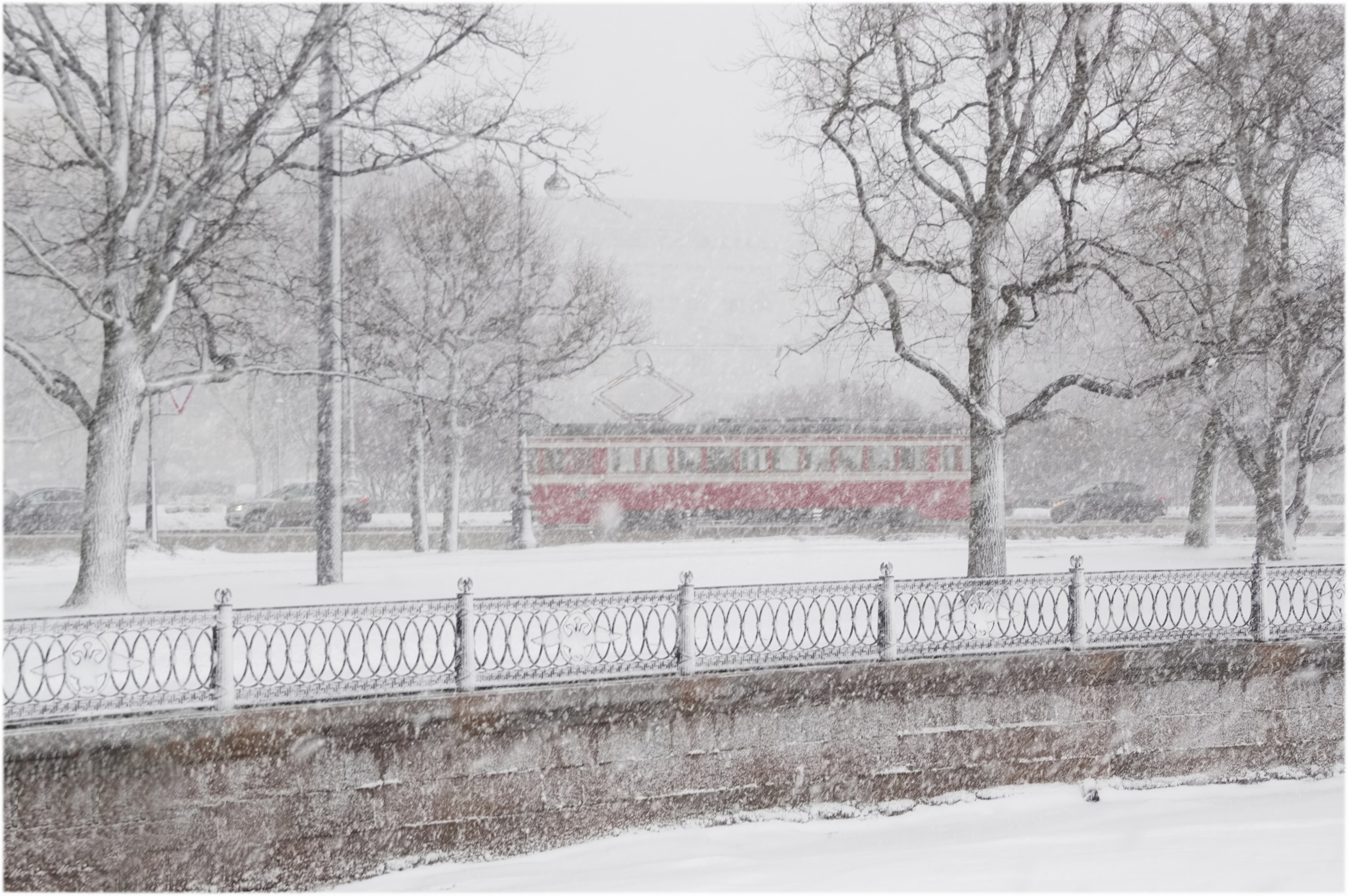 Санкт-Петербург. Вадим Шейдин