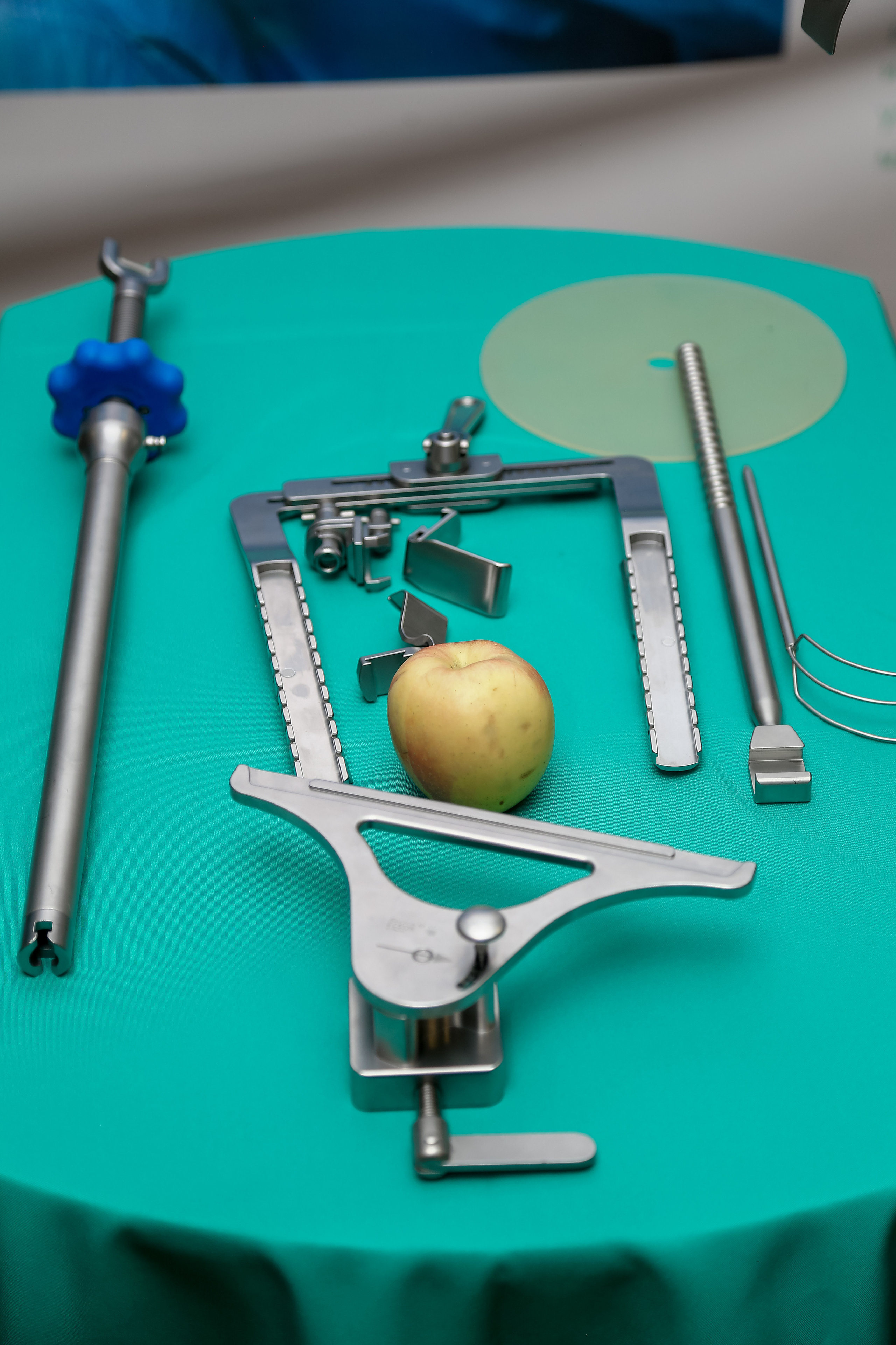 B.Braun 2022. Фотограф Антон Чупринин