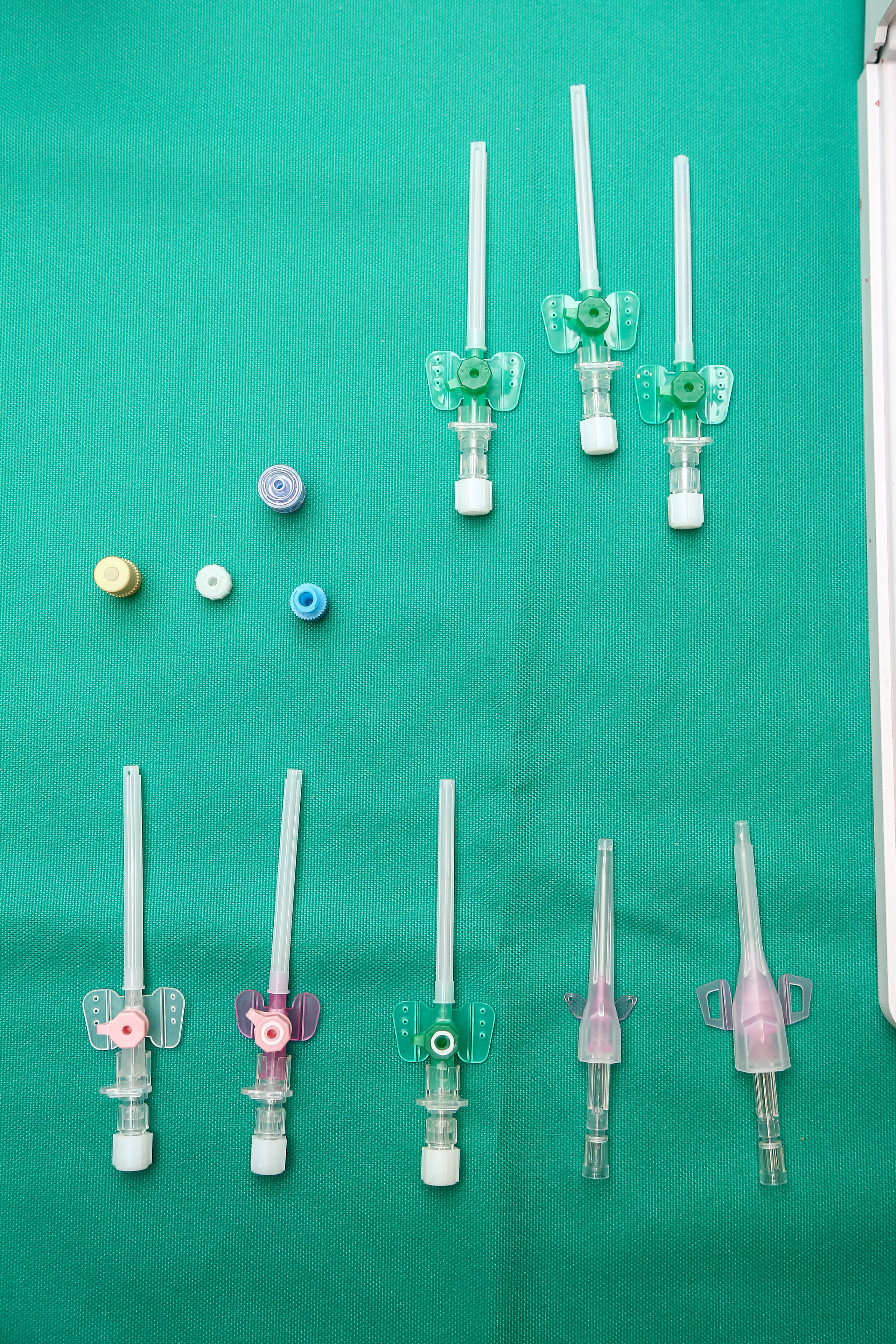 B.Braun 2022. Фотограф Антон Чупринин