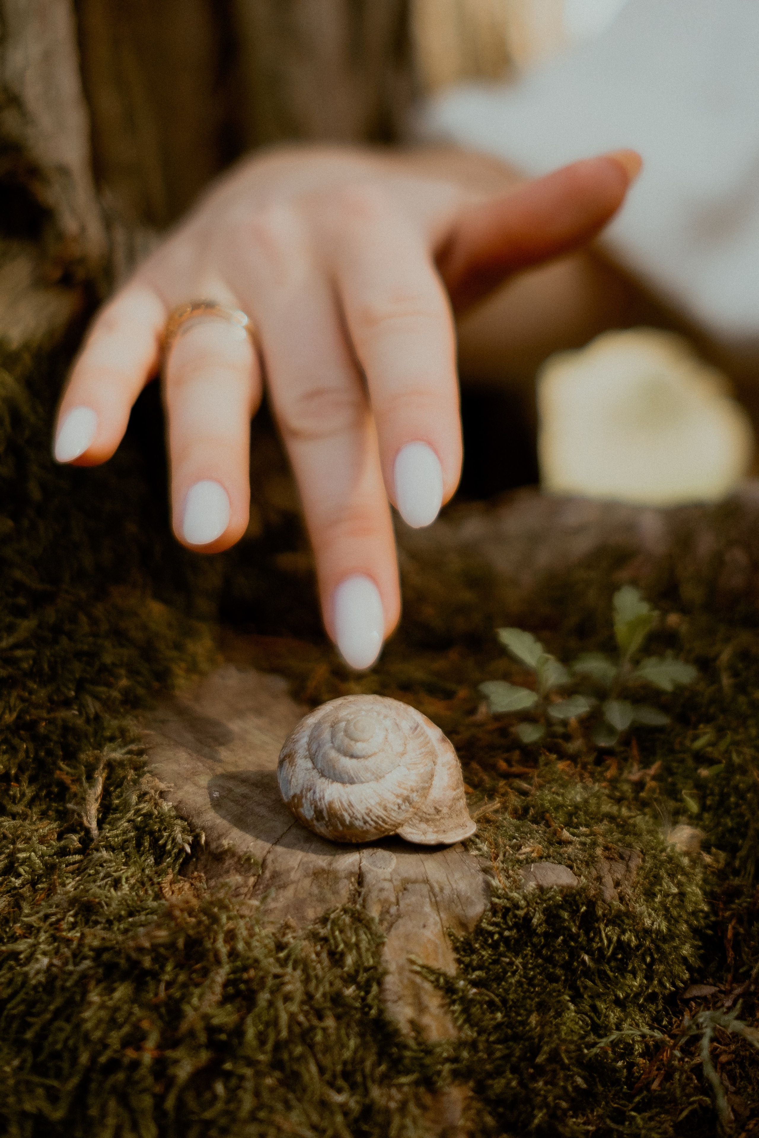 Фотосессии в Сочи, Сириусе, Адлере и на Красной поляне. Семейный, свадебный фотограф Сочи, Адлер, Красная поляна