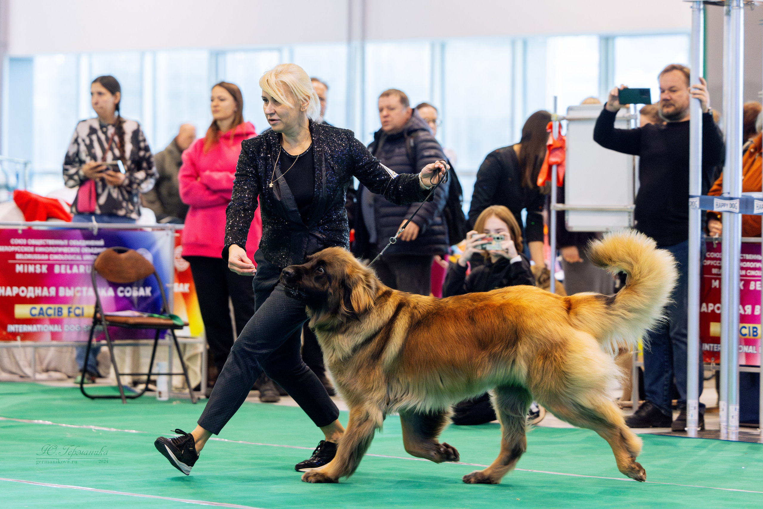 Минск 23.11.2024. Фотограф-анималист Юлия Германика