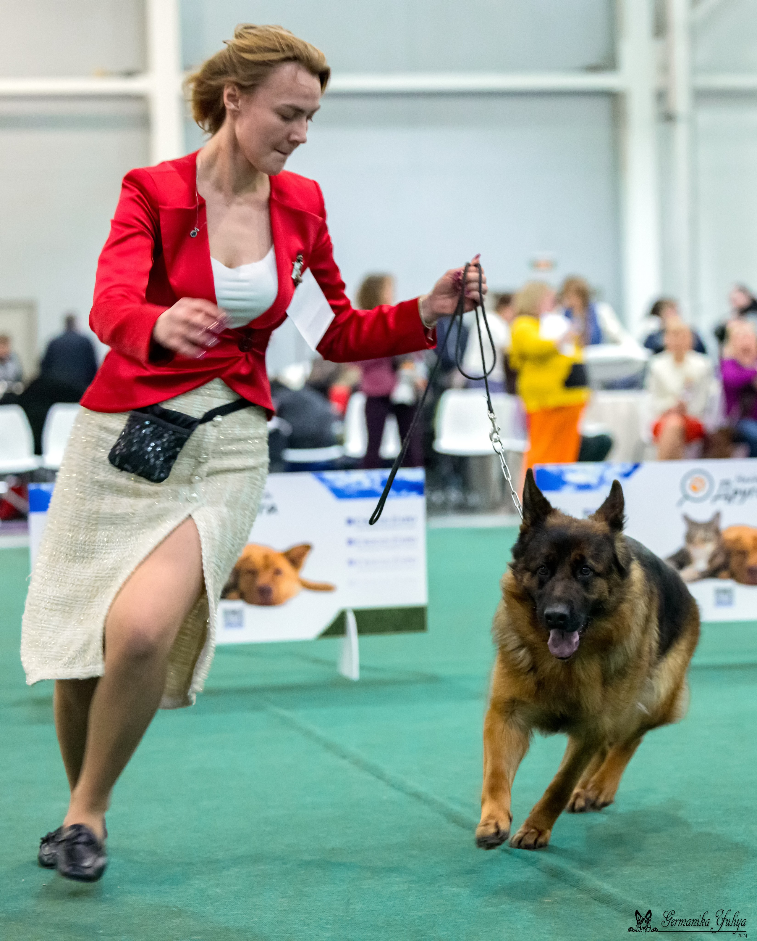 Сабанеевка 26-27.01.2024. Фотограф-анималист Юлия Германика