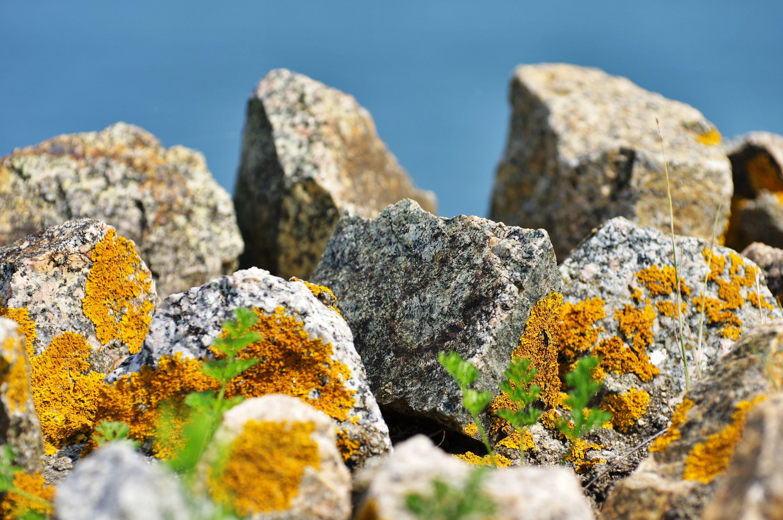 Пейзажи. Фотограф Дмитрий Алексеев