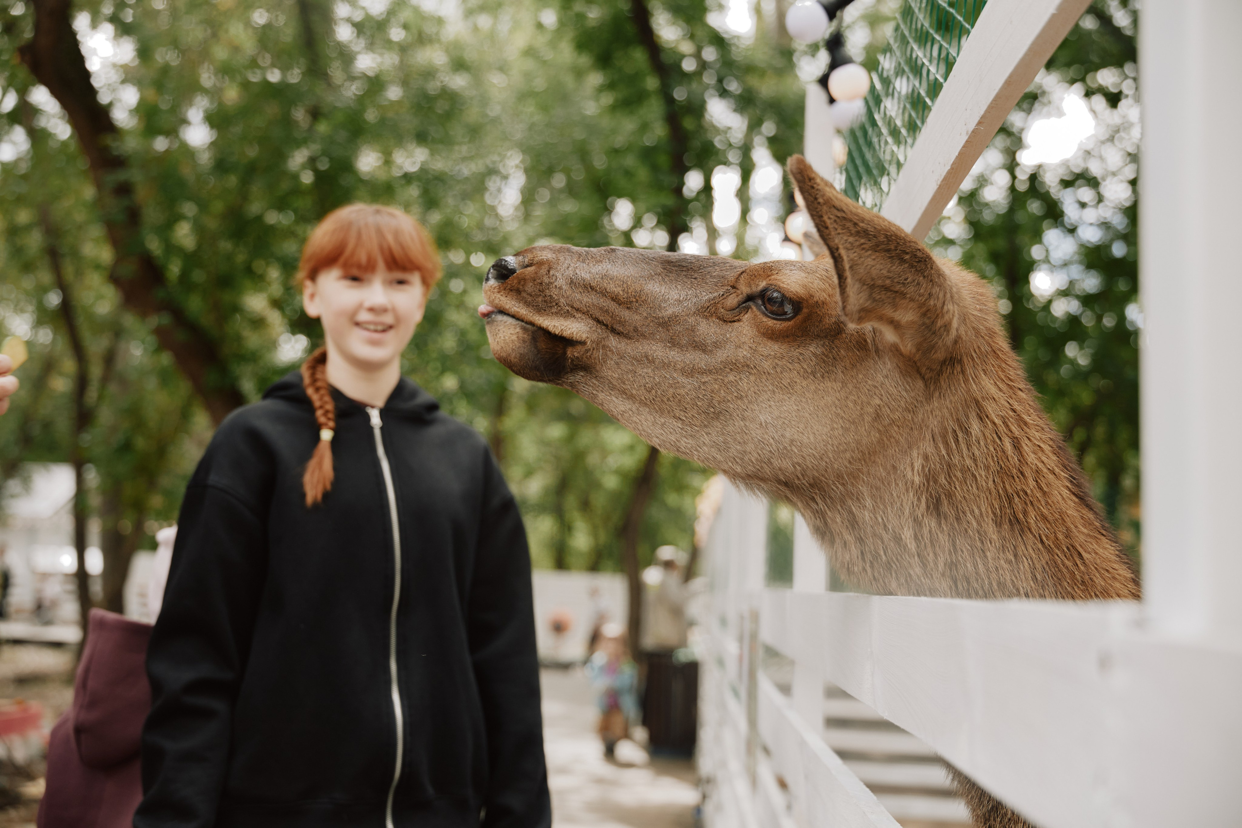 Ферма ЛУЛУ. Фотограф и видеограф в Кургане Леонид Корнильев