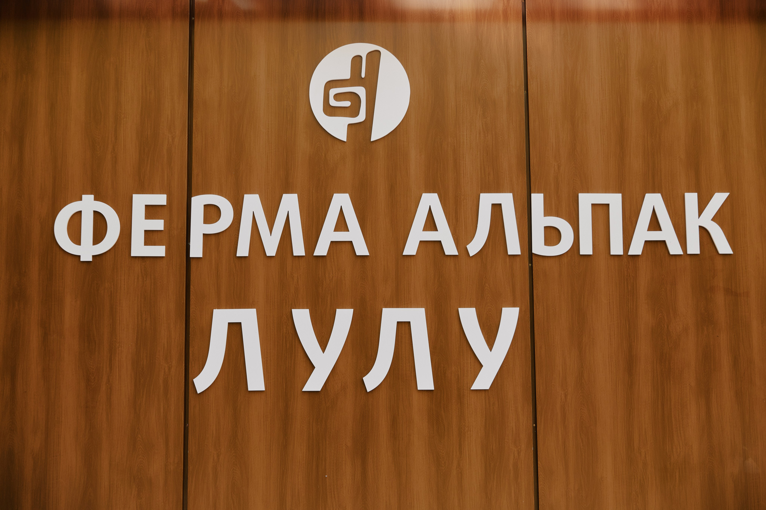 Ферма ЛУЛУ. Фотограф и видеограф в Кургане Леонид Корнильев