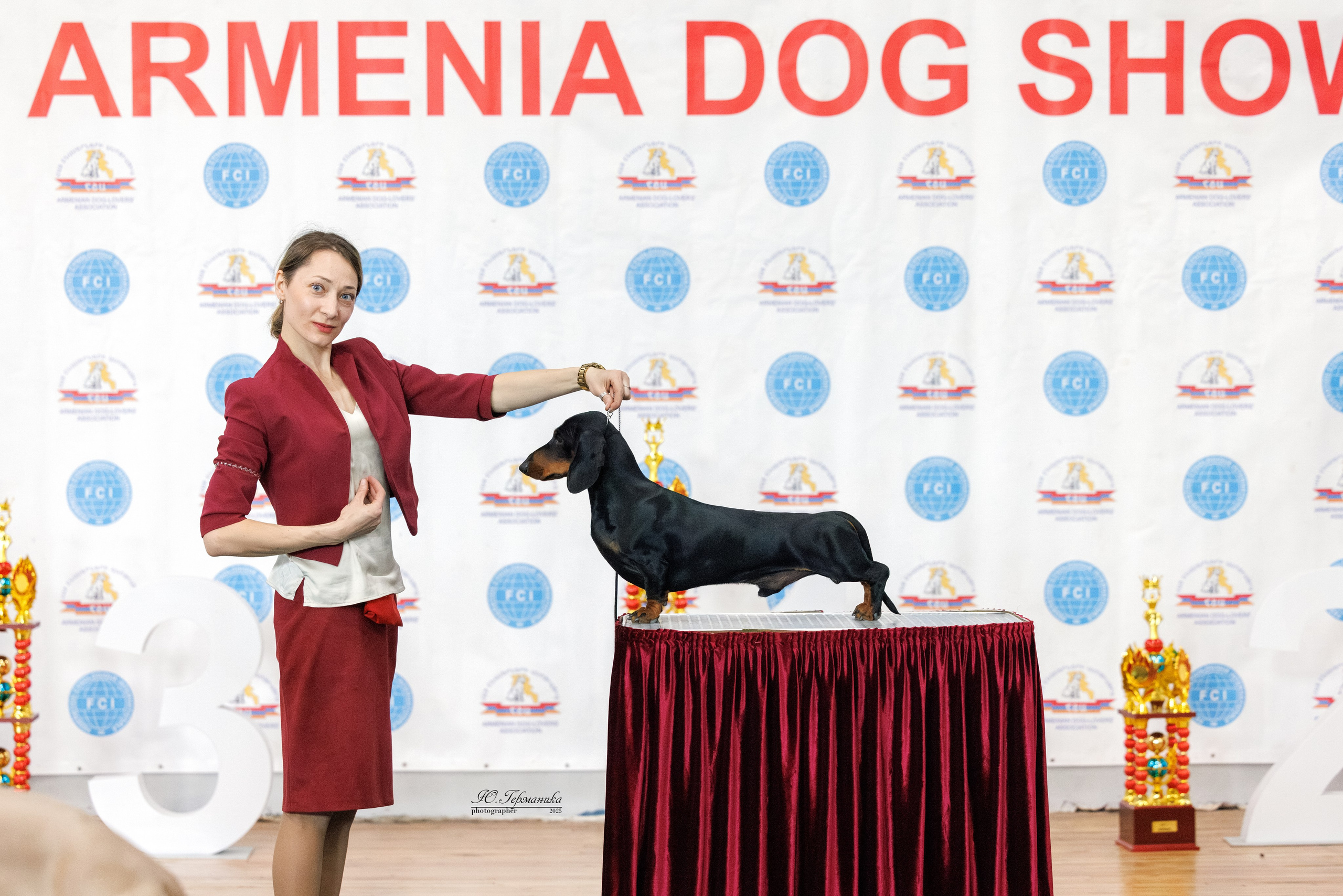 Ереван 2х CACIB 29-30.04.2025. Фотограф-анималист Юлия Германика