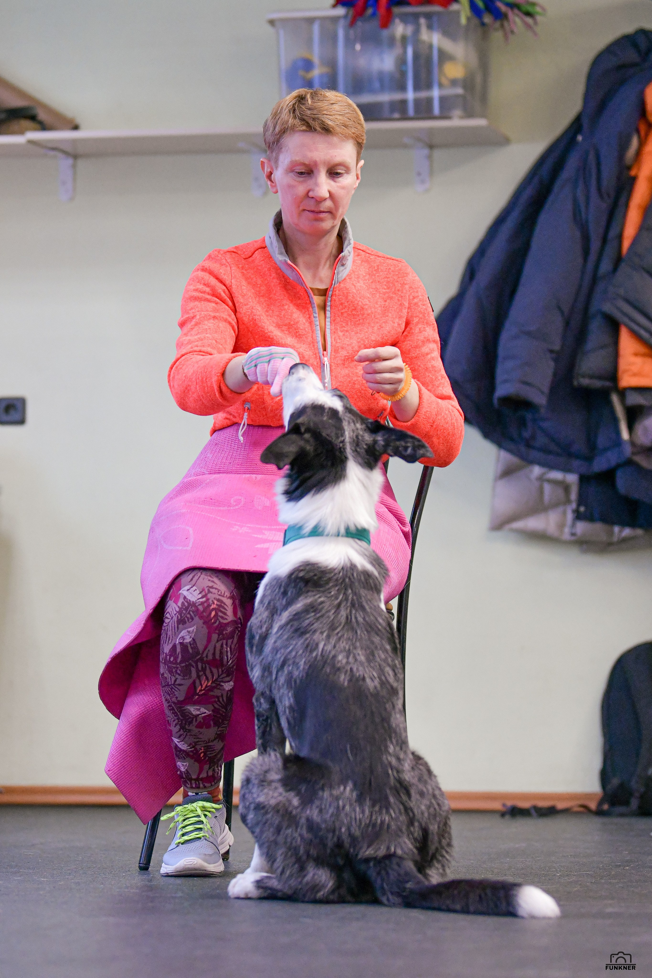 Кинологический клуб «Бодрый хвост». Свой взгляд через объектив