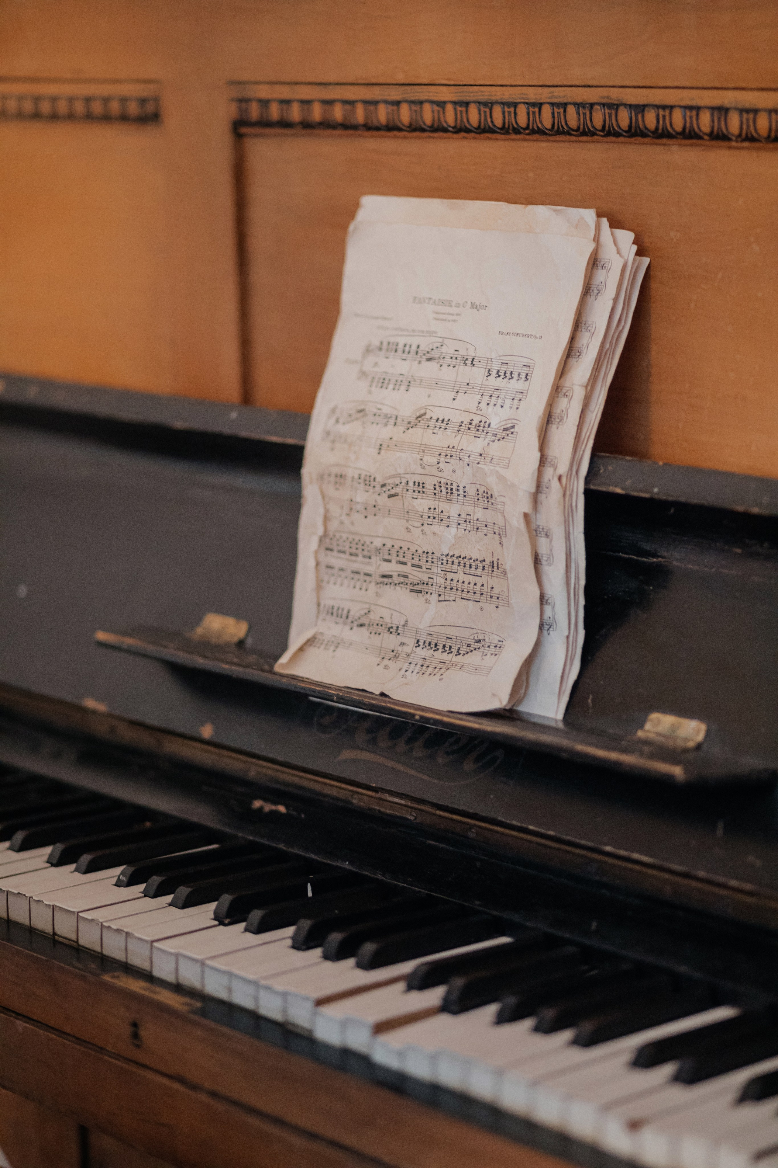 Анатолий и Екатерина. Свадебный и семейный фотограф Ибрагимова Мария из Екатеринбурга