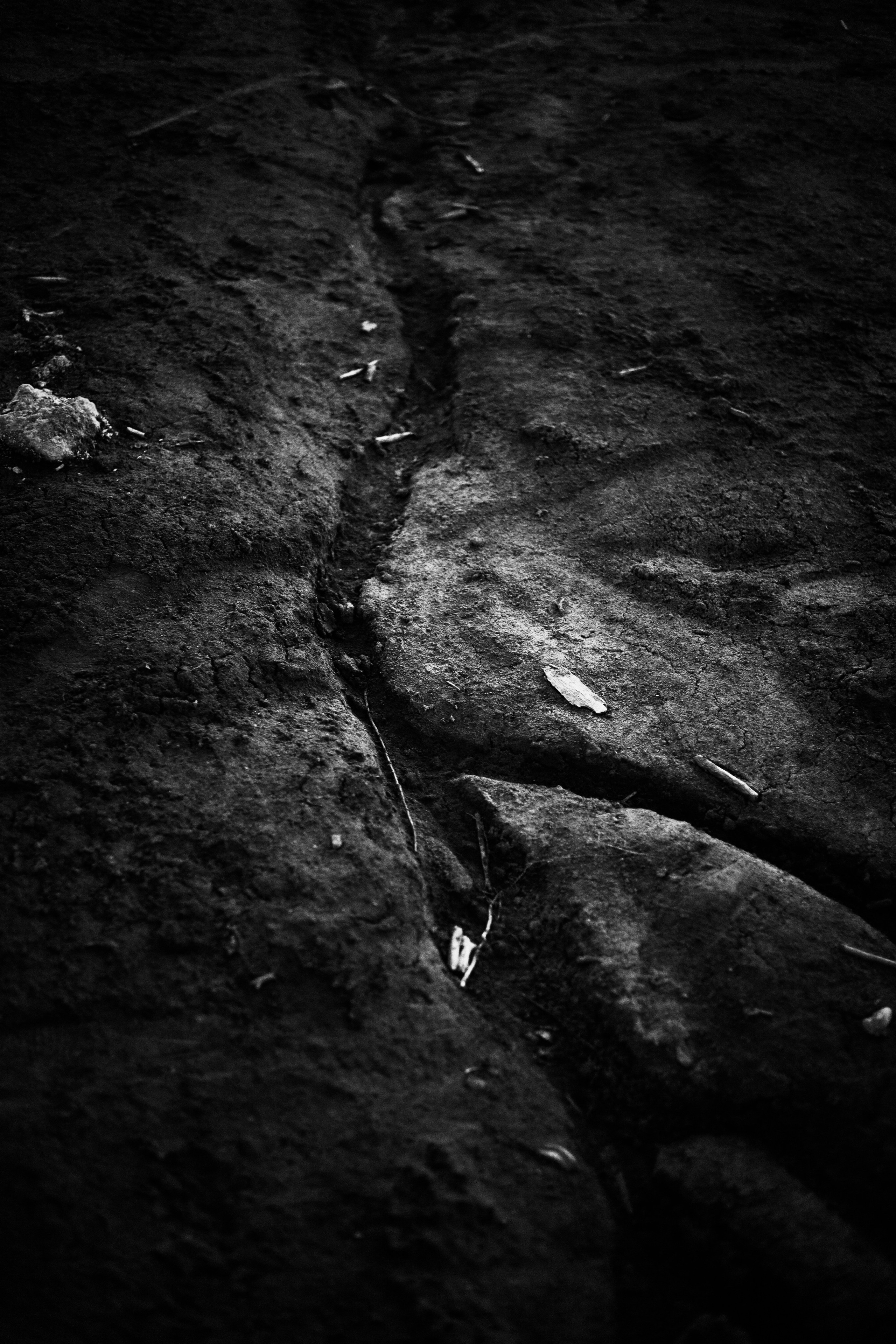 Пейзажи и уличная съёмка