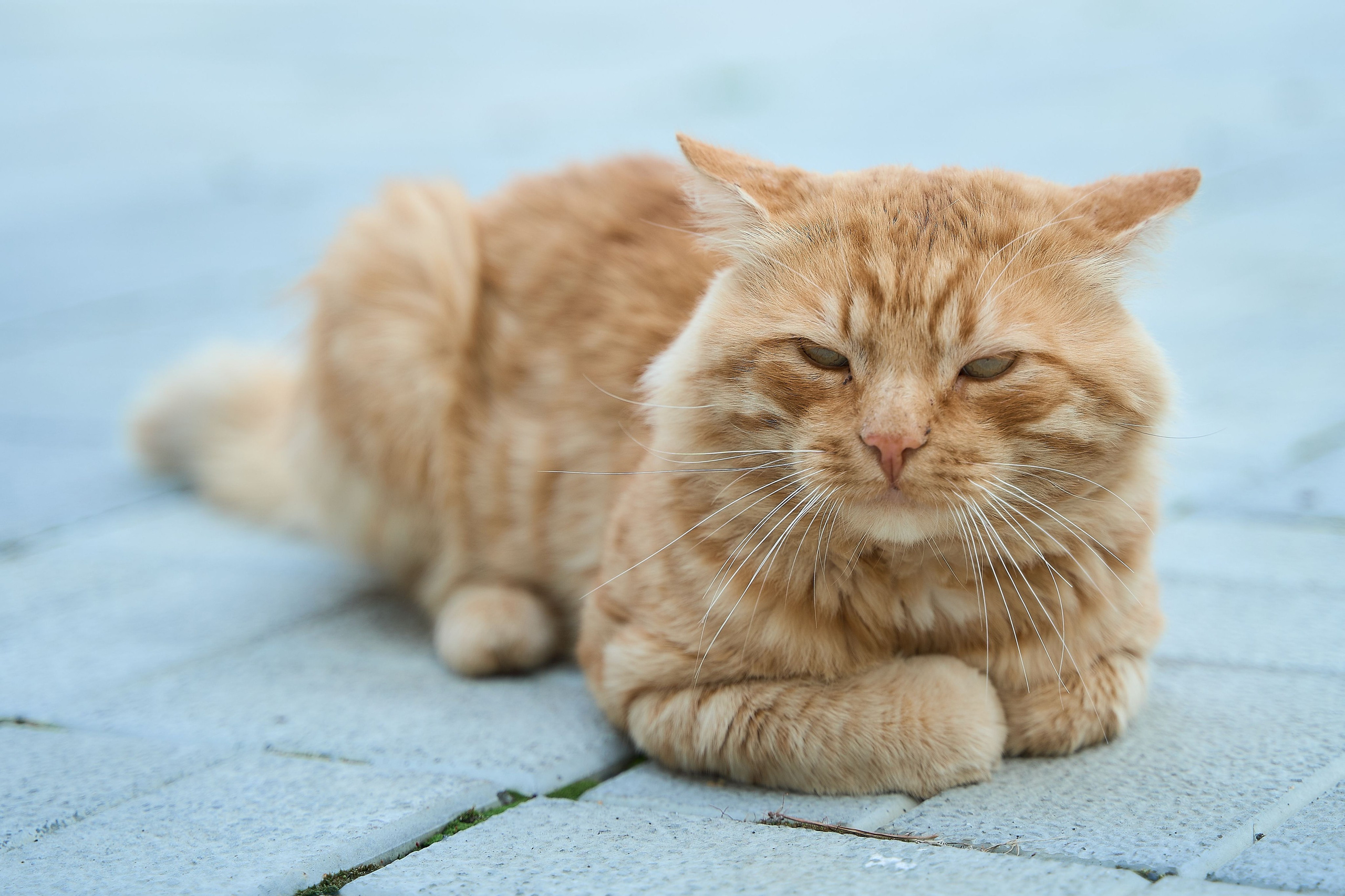 Марина. Фотограф и видеограф в Екатеринбурге