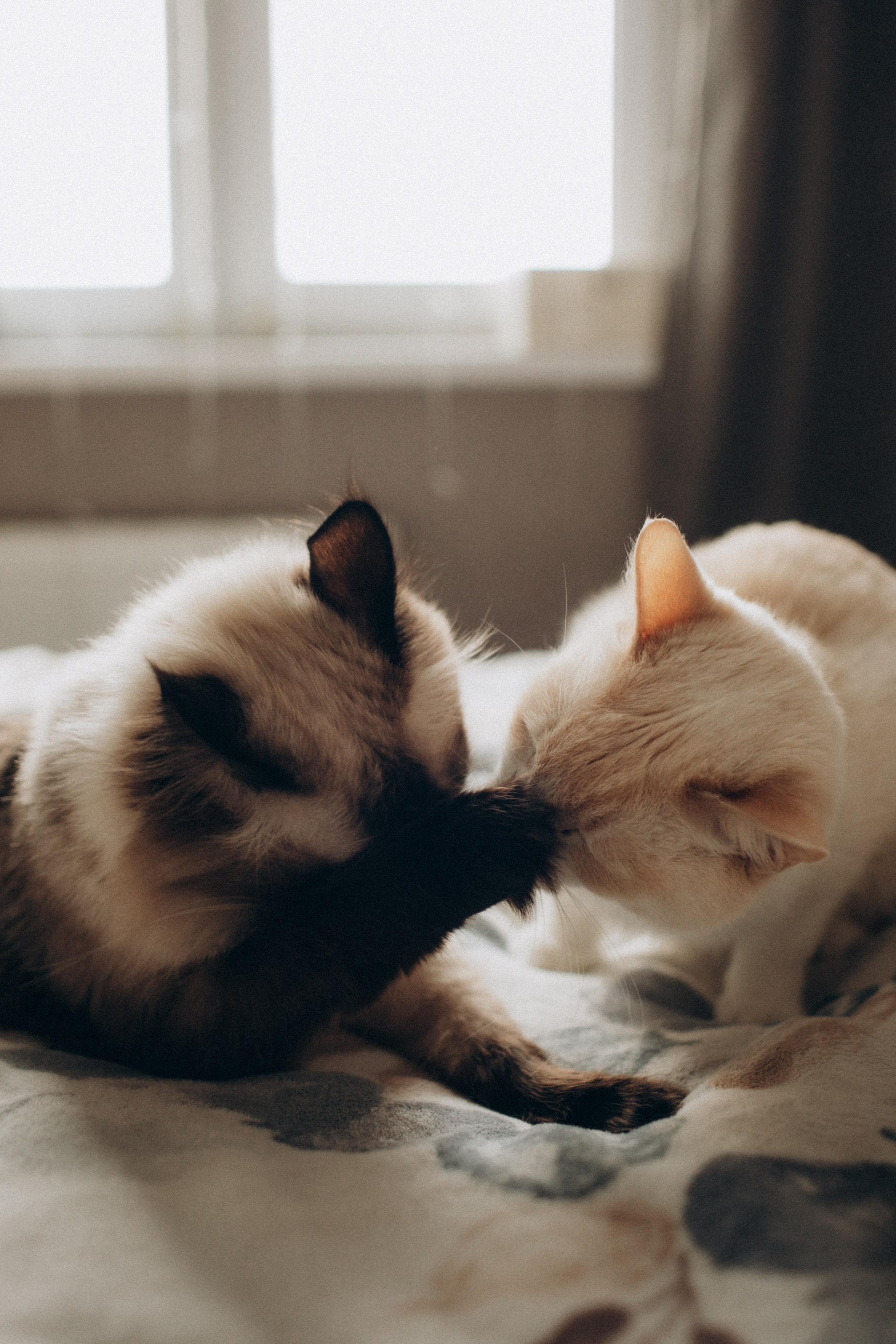 Диме 3 недели и 4 дня!. Семейный фотограф в Челябинске Ксения Зубкова