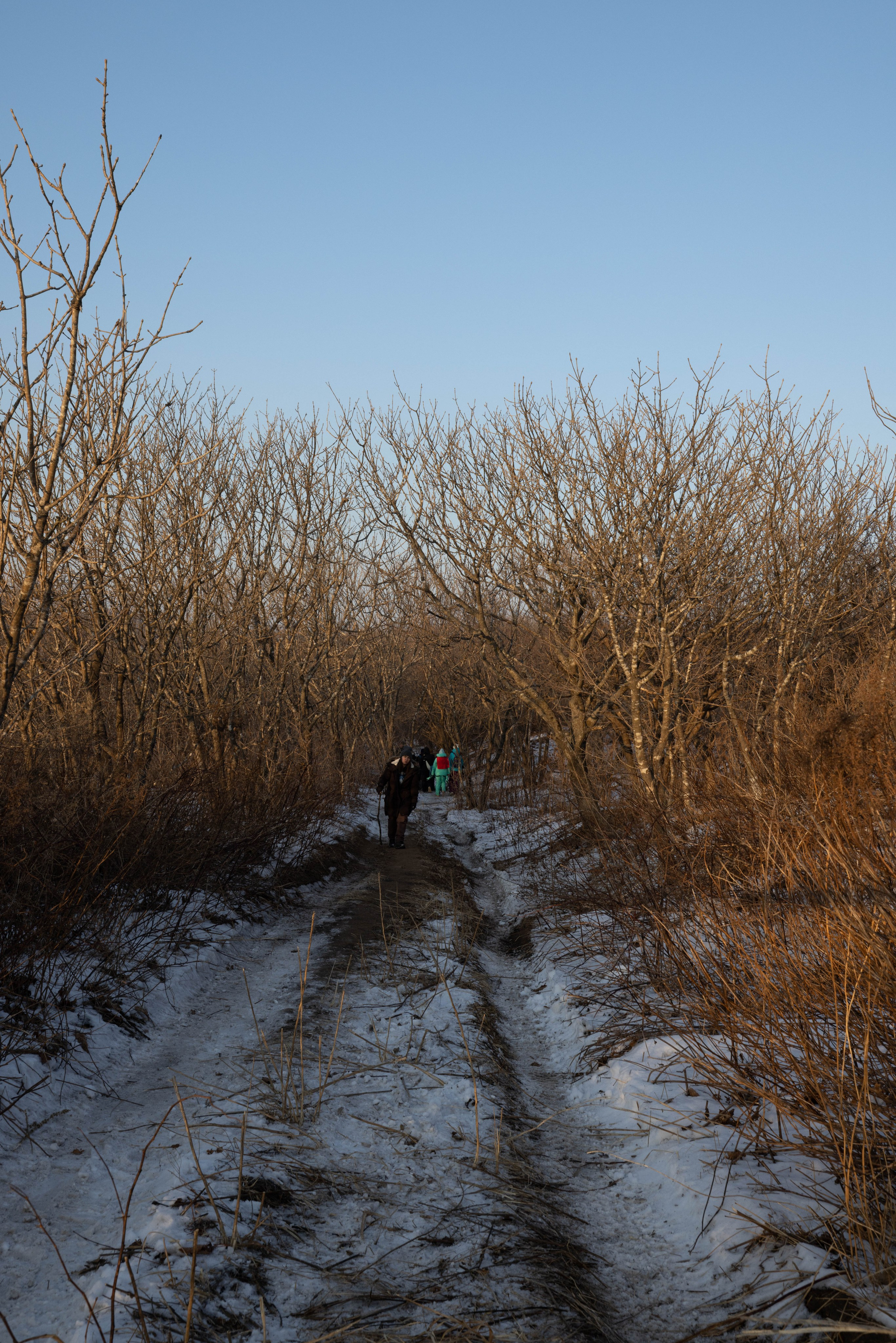 Остров Шкота. Турист оптимист